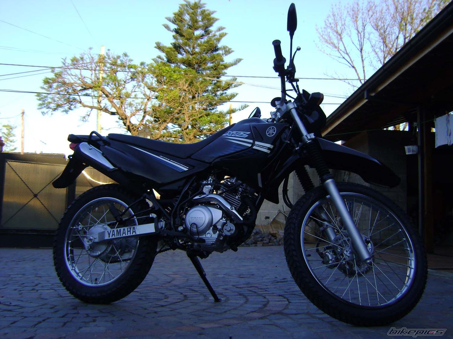 Photo 2787487