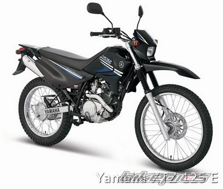 Photo 2787489
