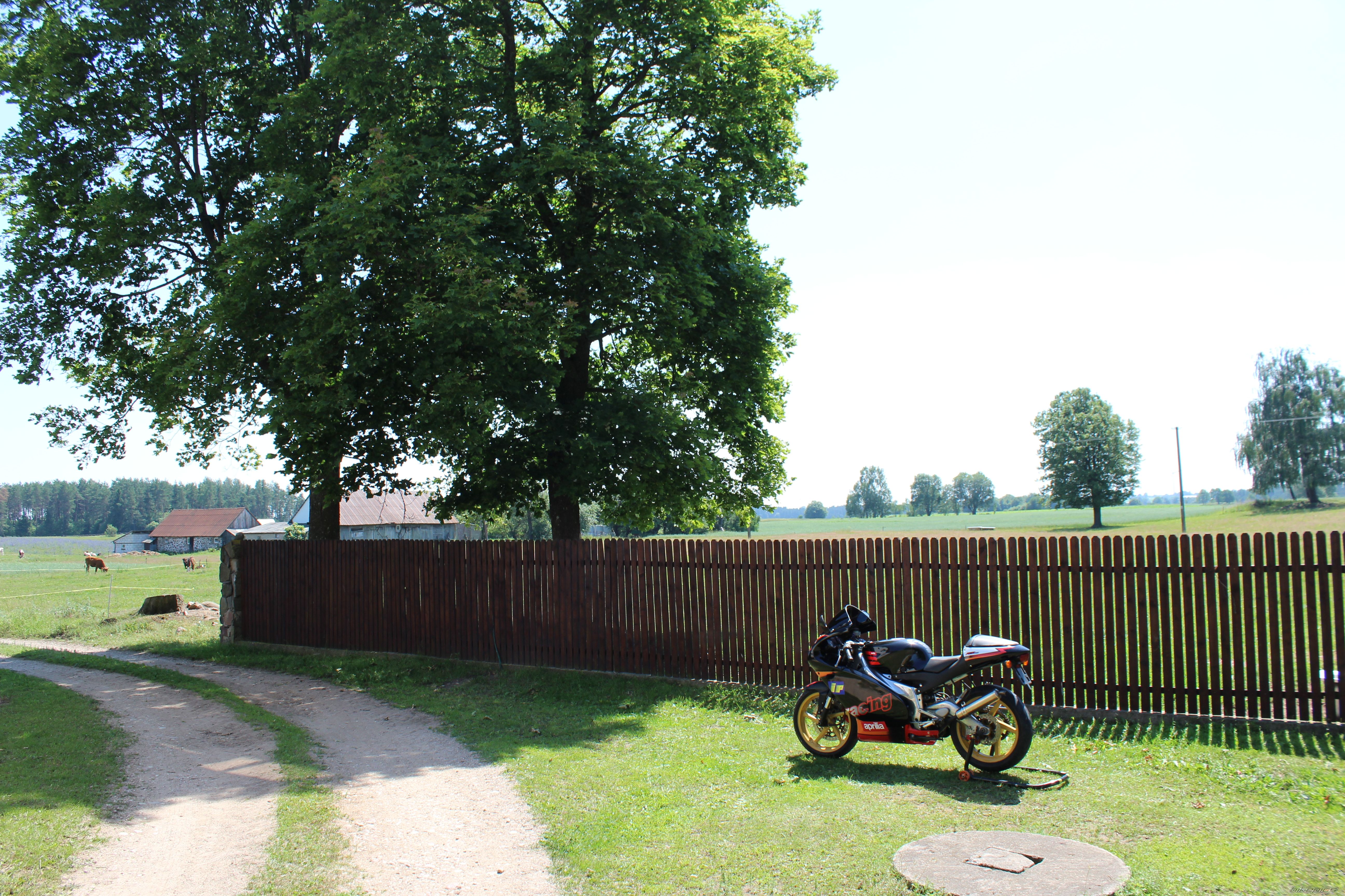 Photo 2787604
