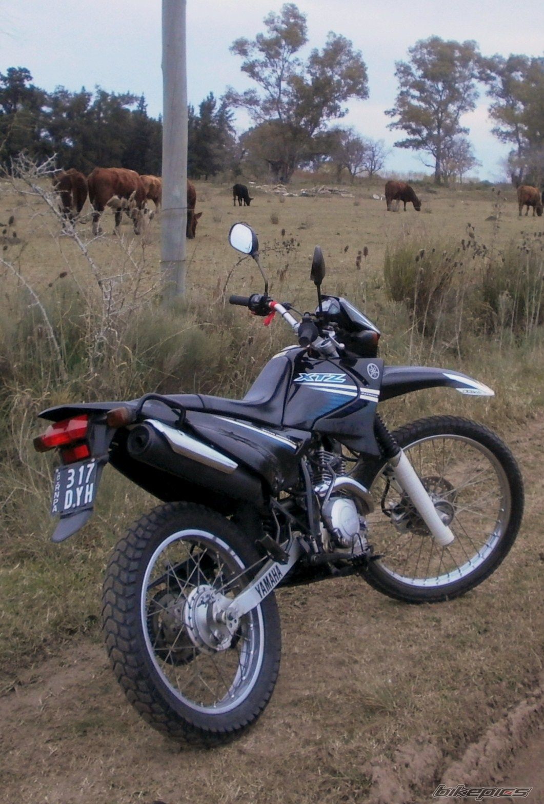 Photo 2787645