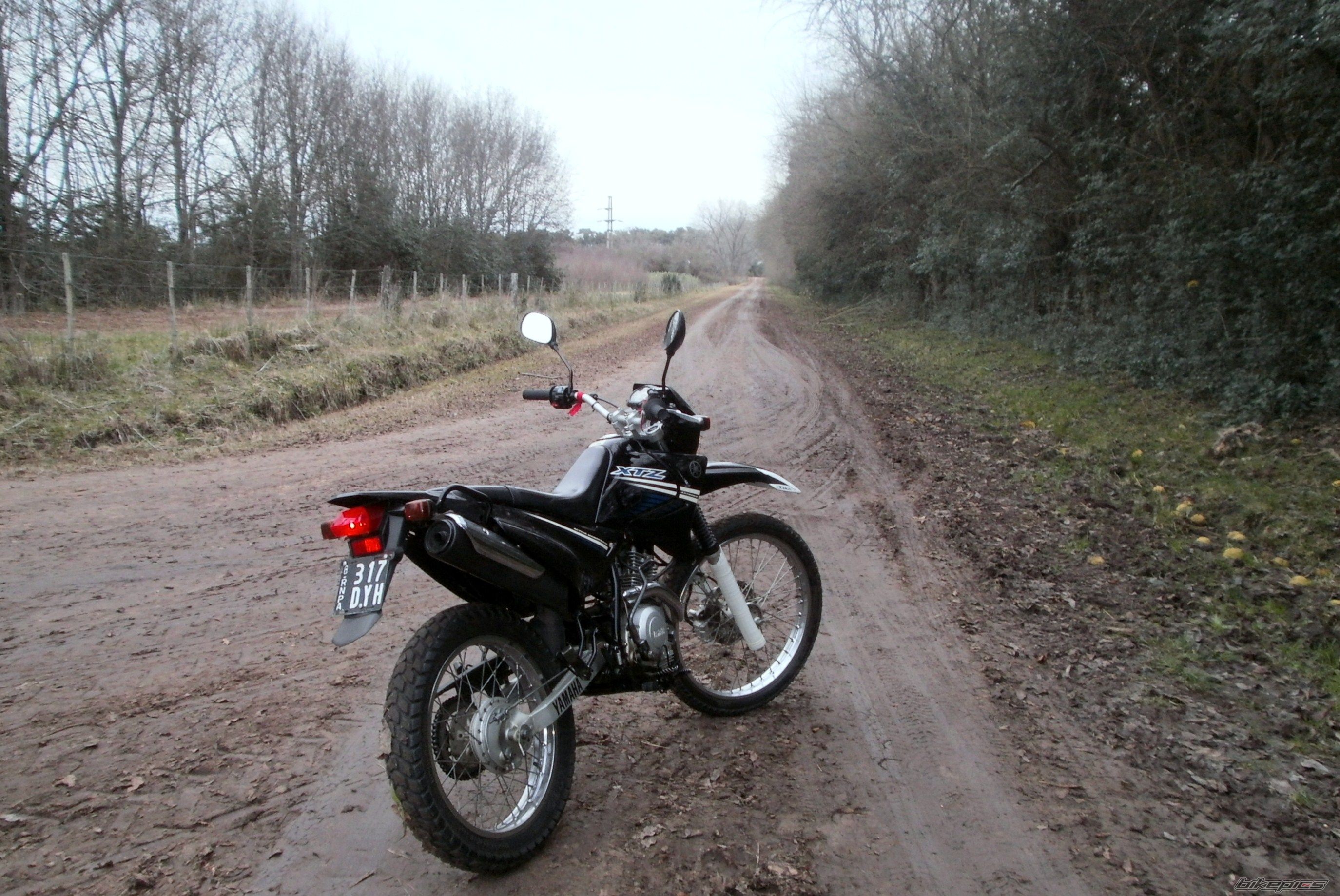 Photo 2787647
