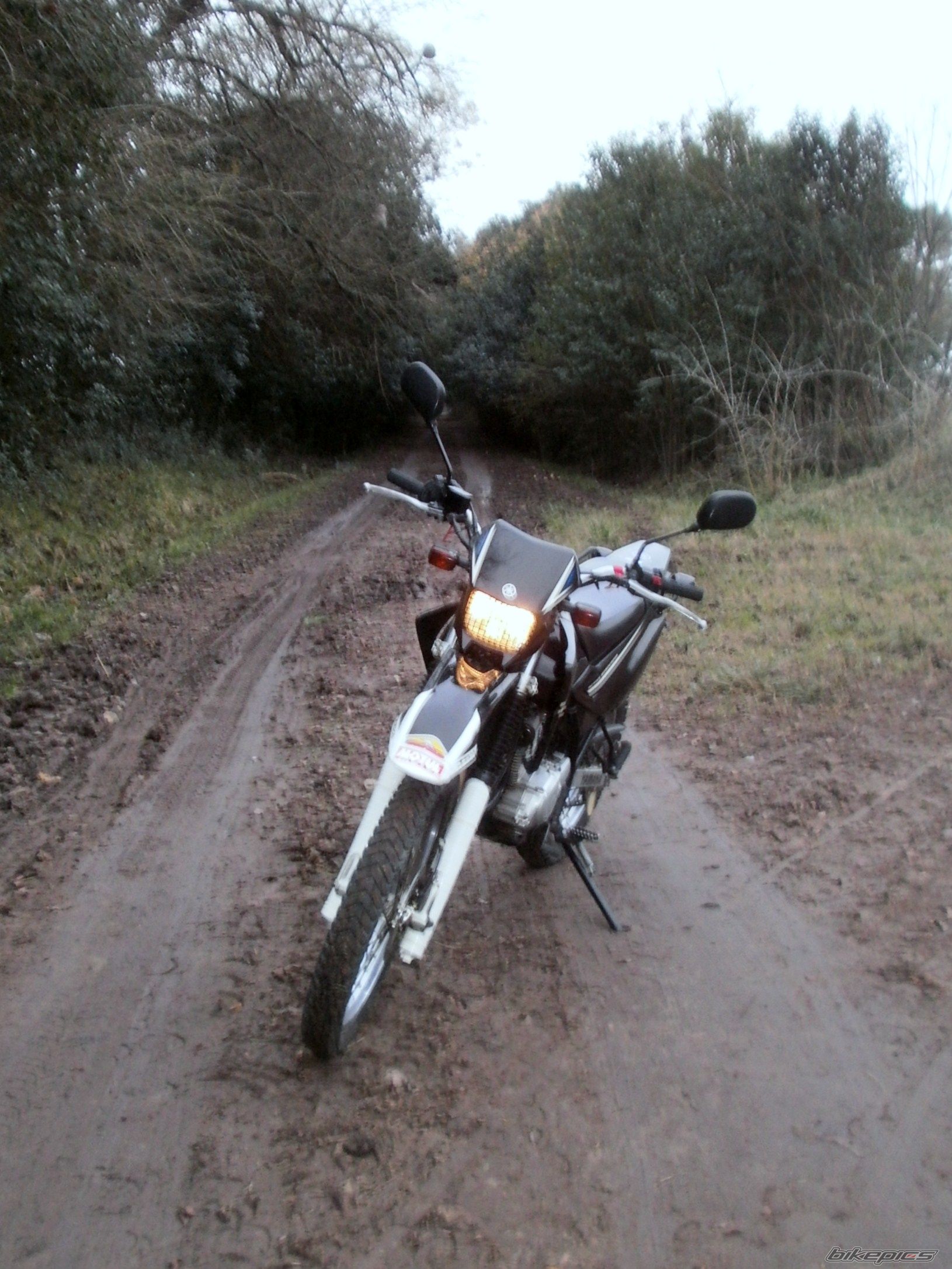 Photo 2787648