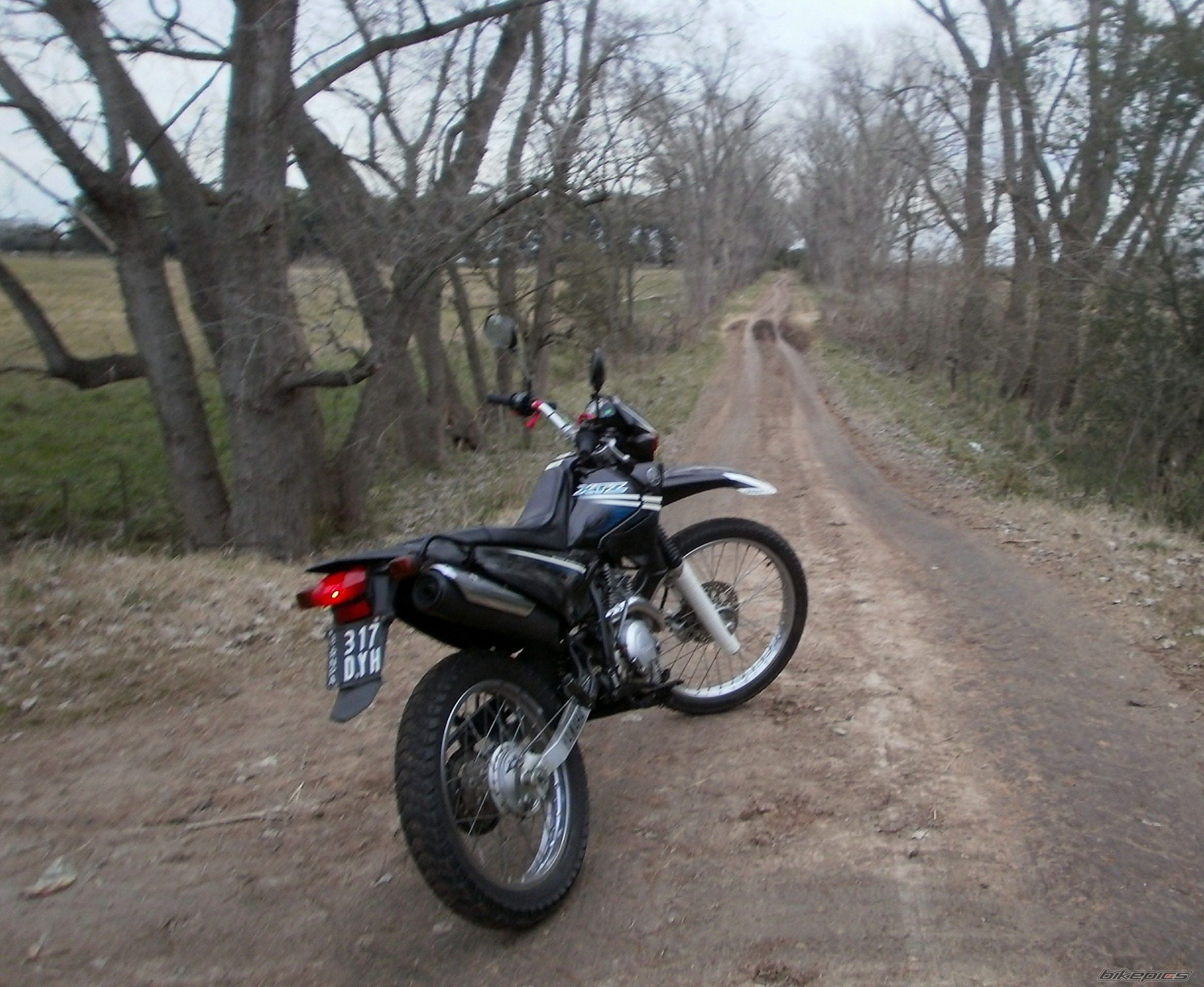 Photo 2787650