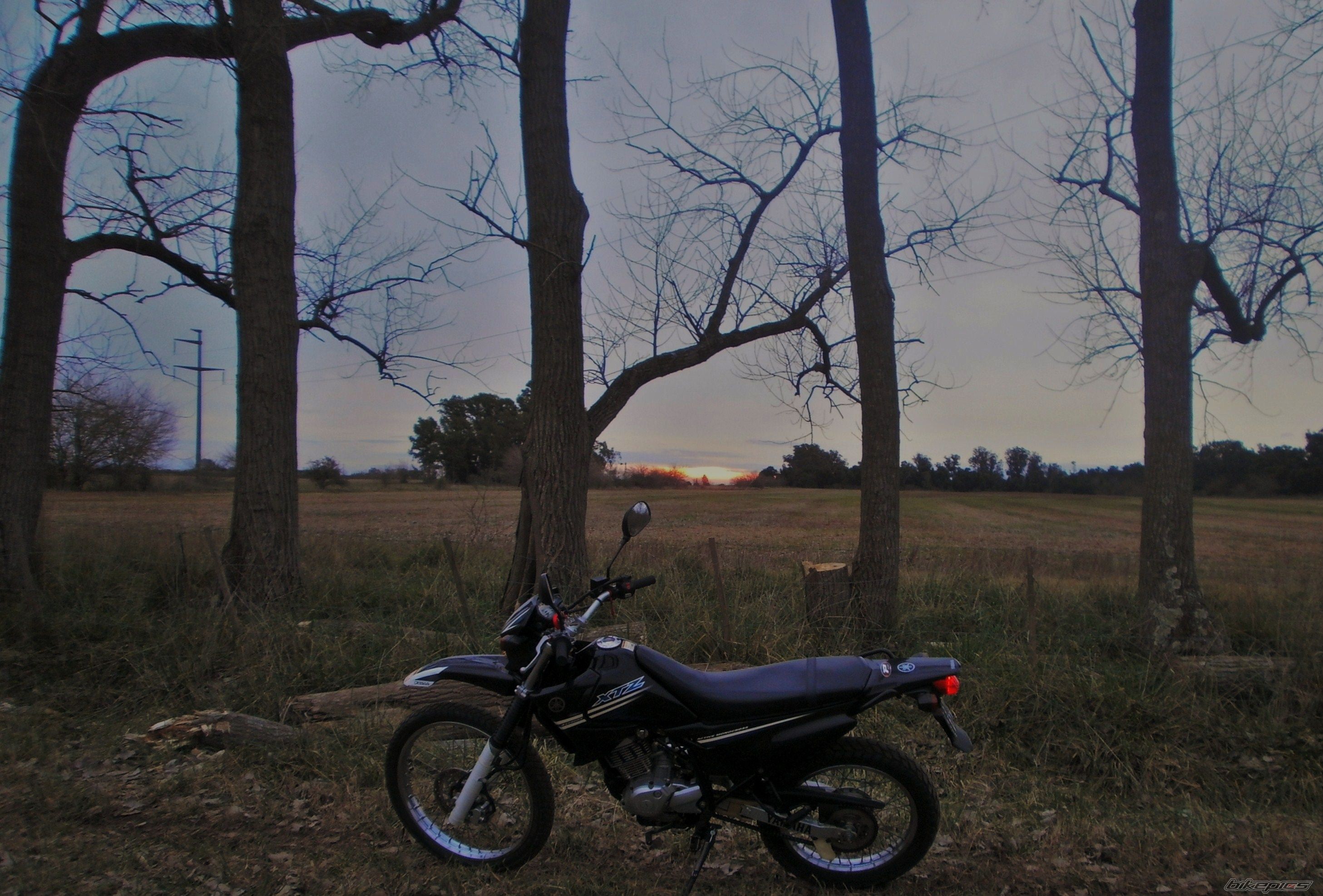 Photo 2787652
