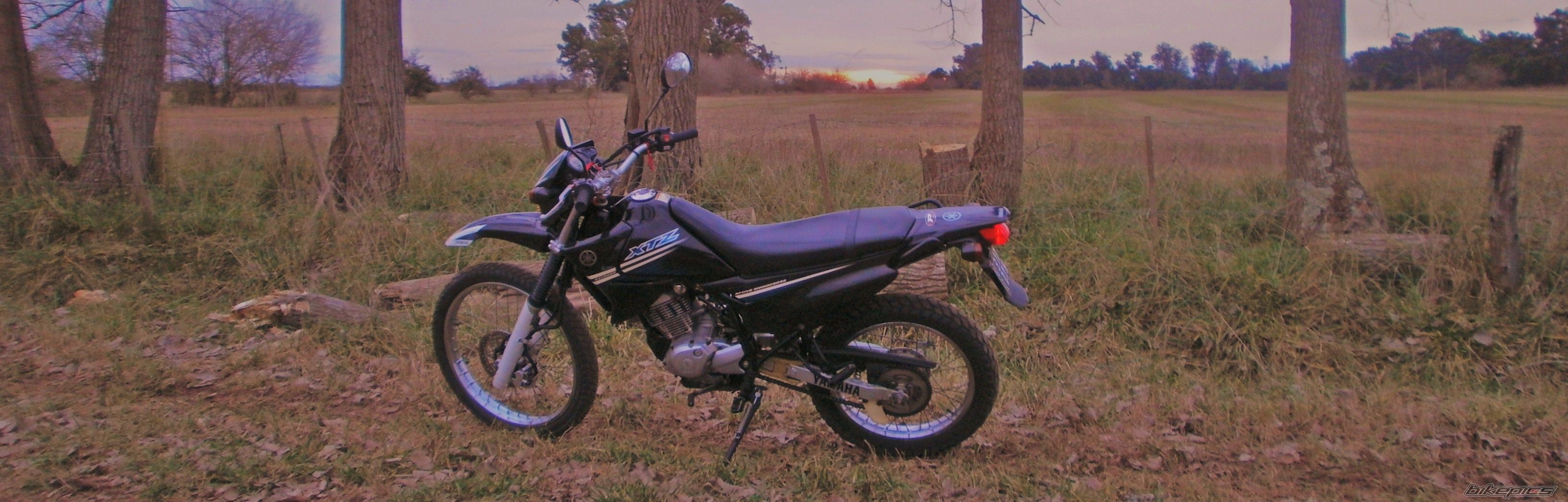 Photo 2787653