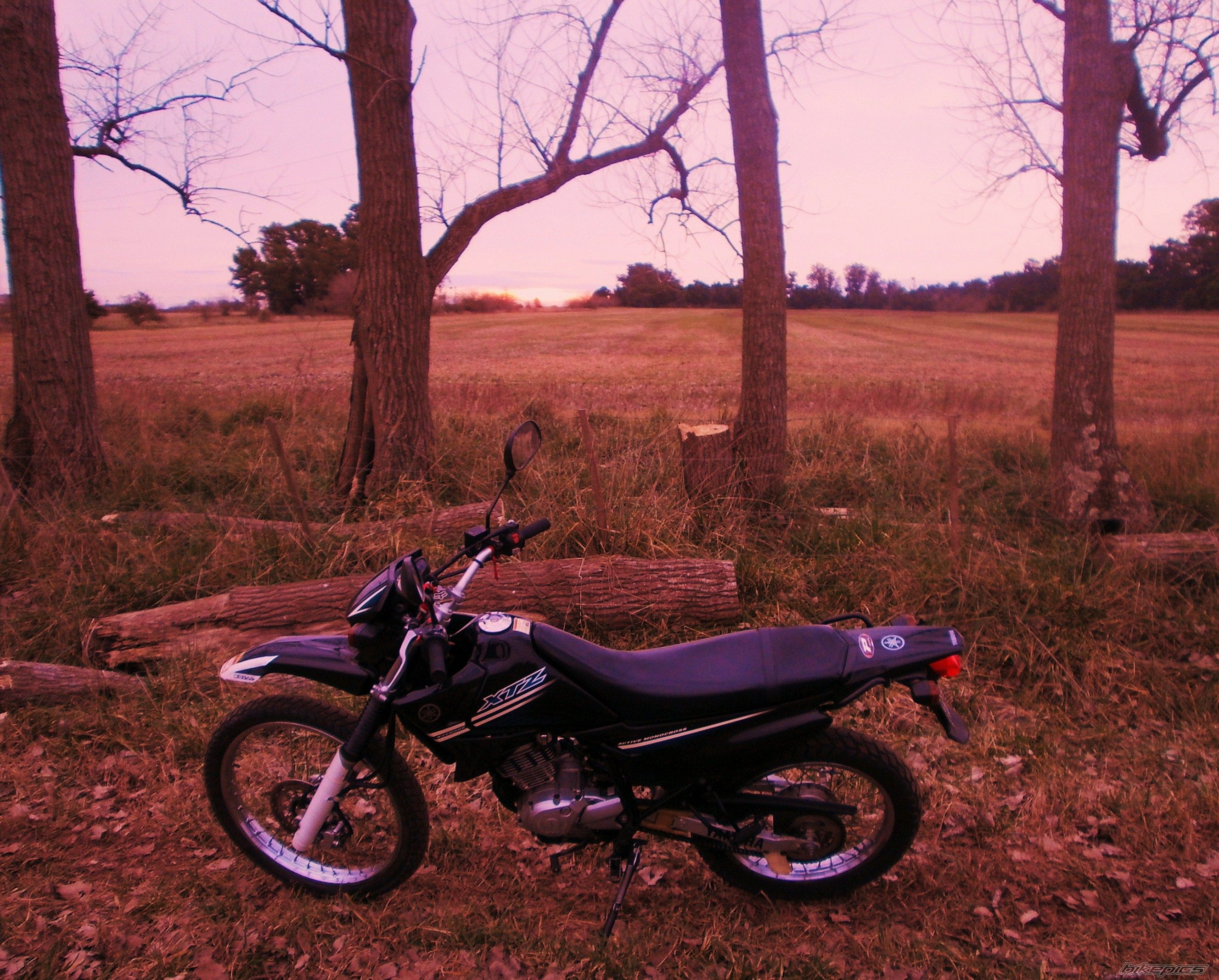 Photo 2787654