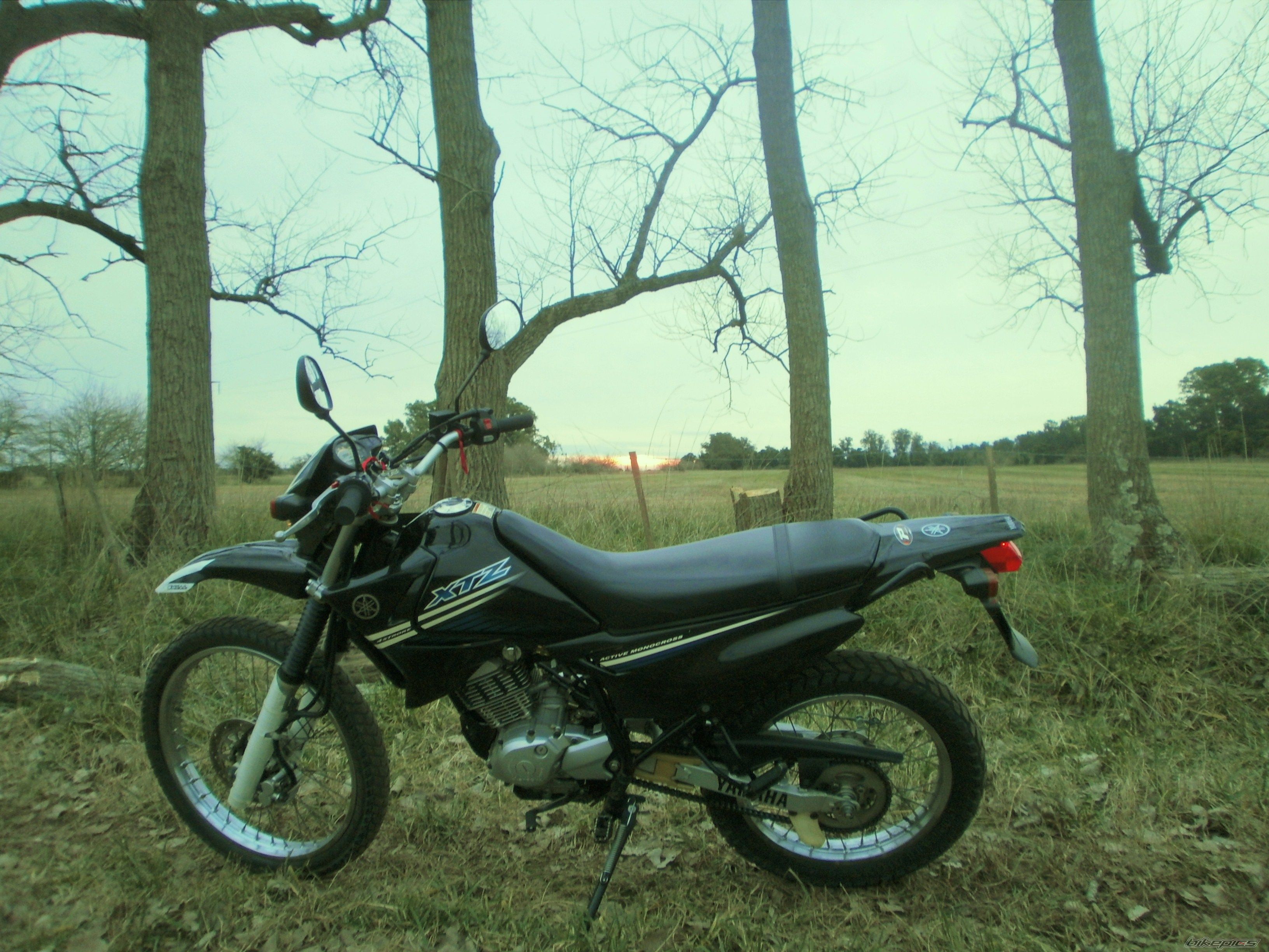 Photo 2787655