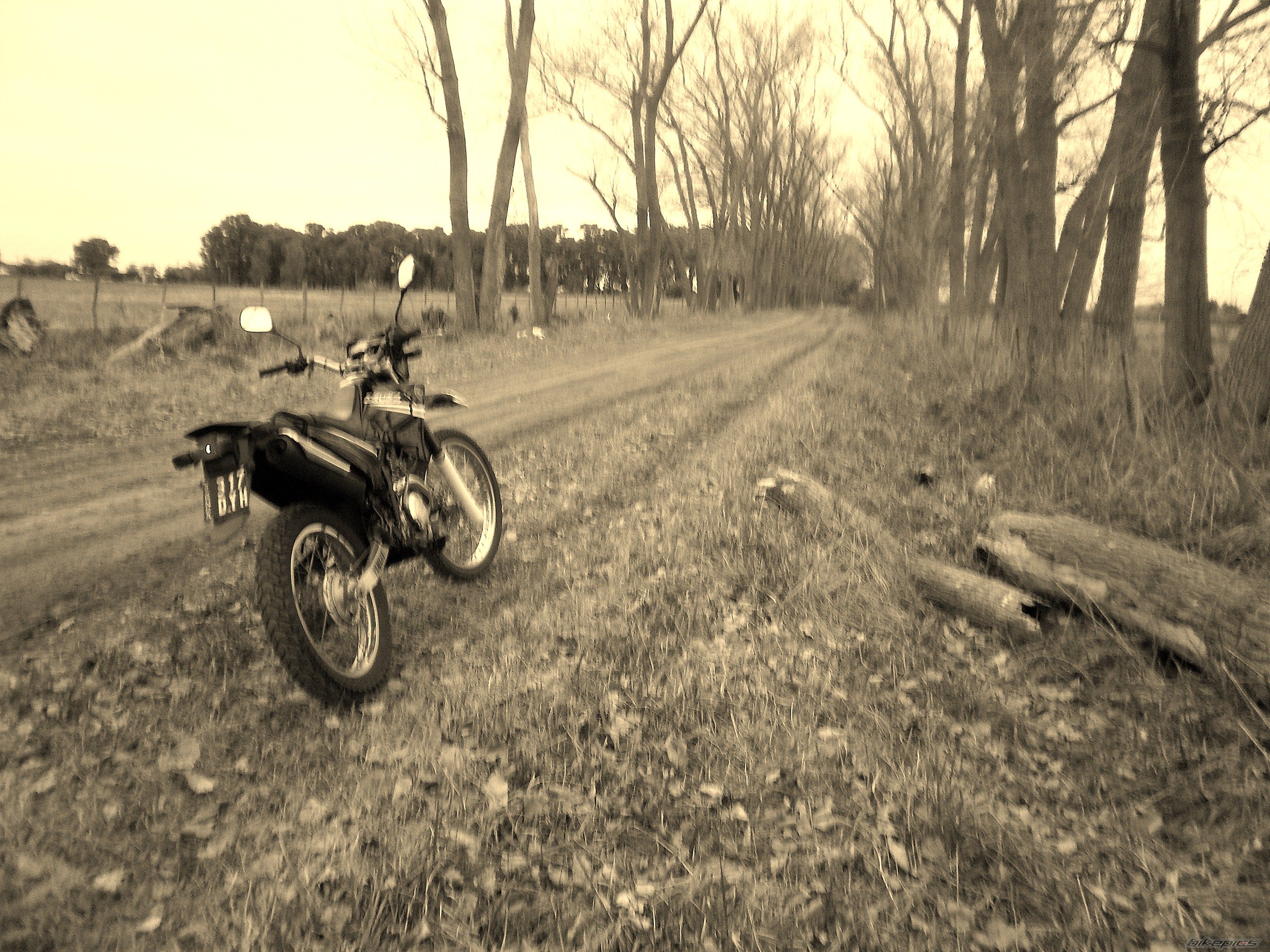 Photo 2787656