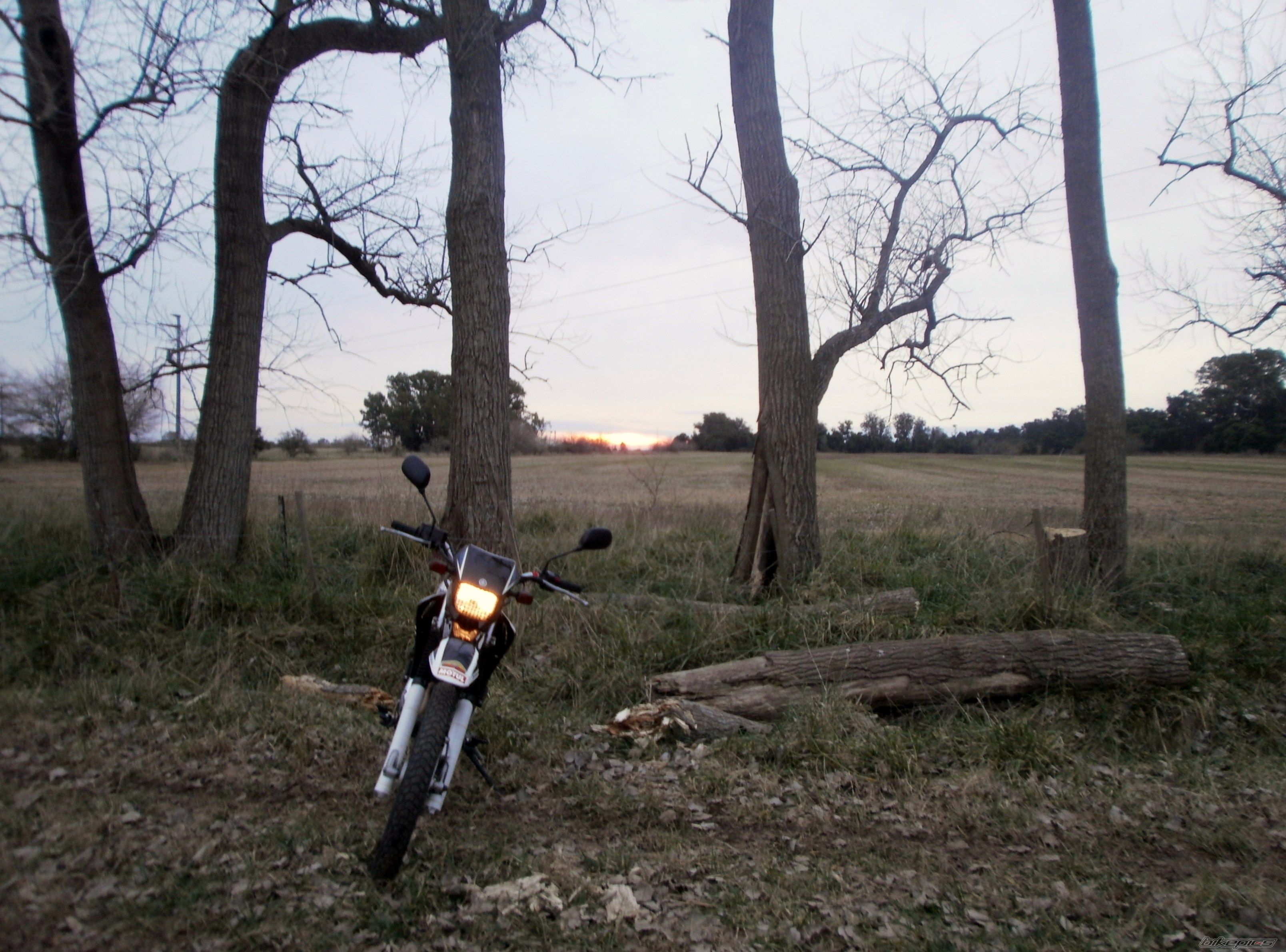 Photo 2787659