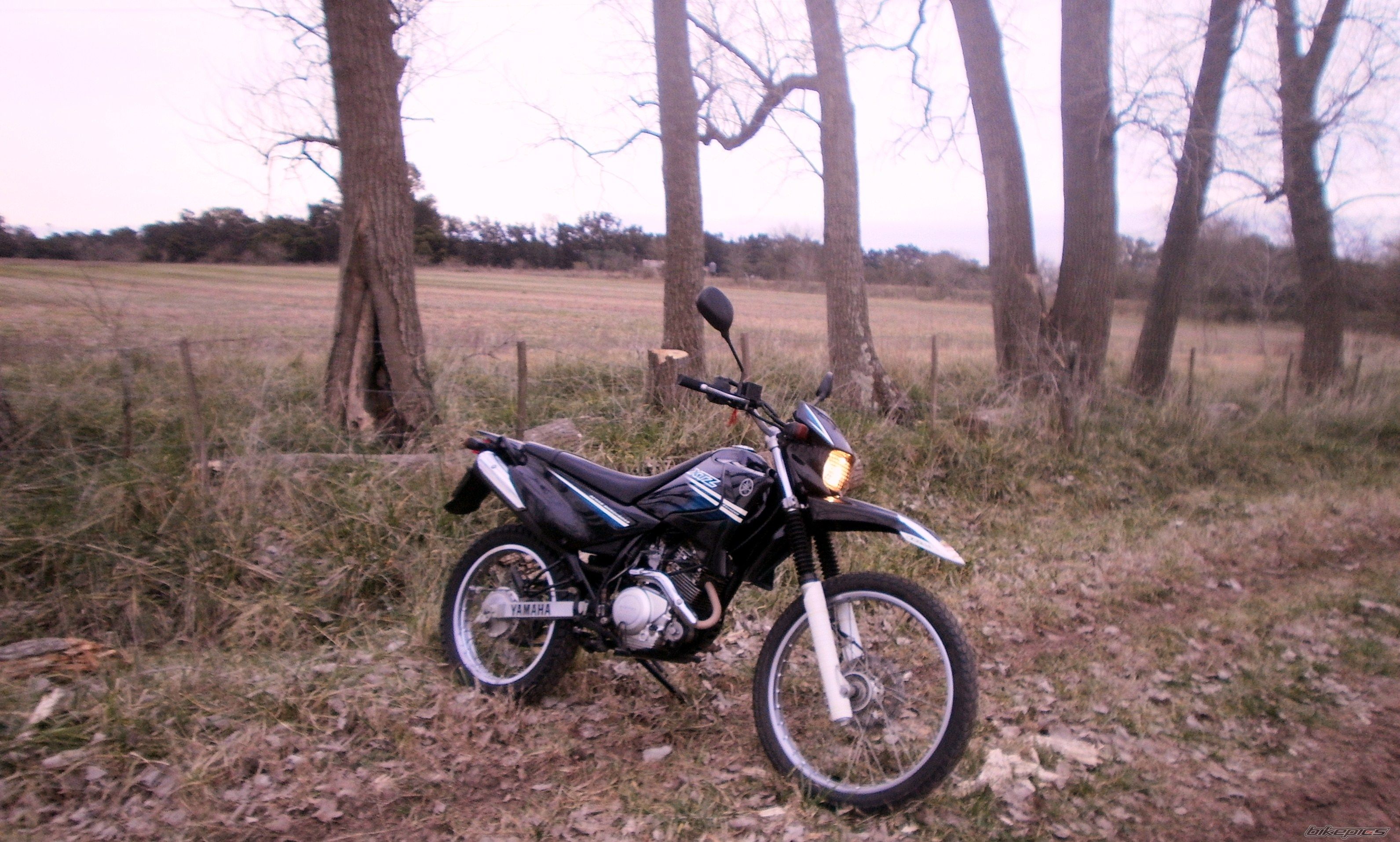 Photo 2787660