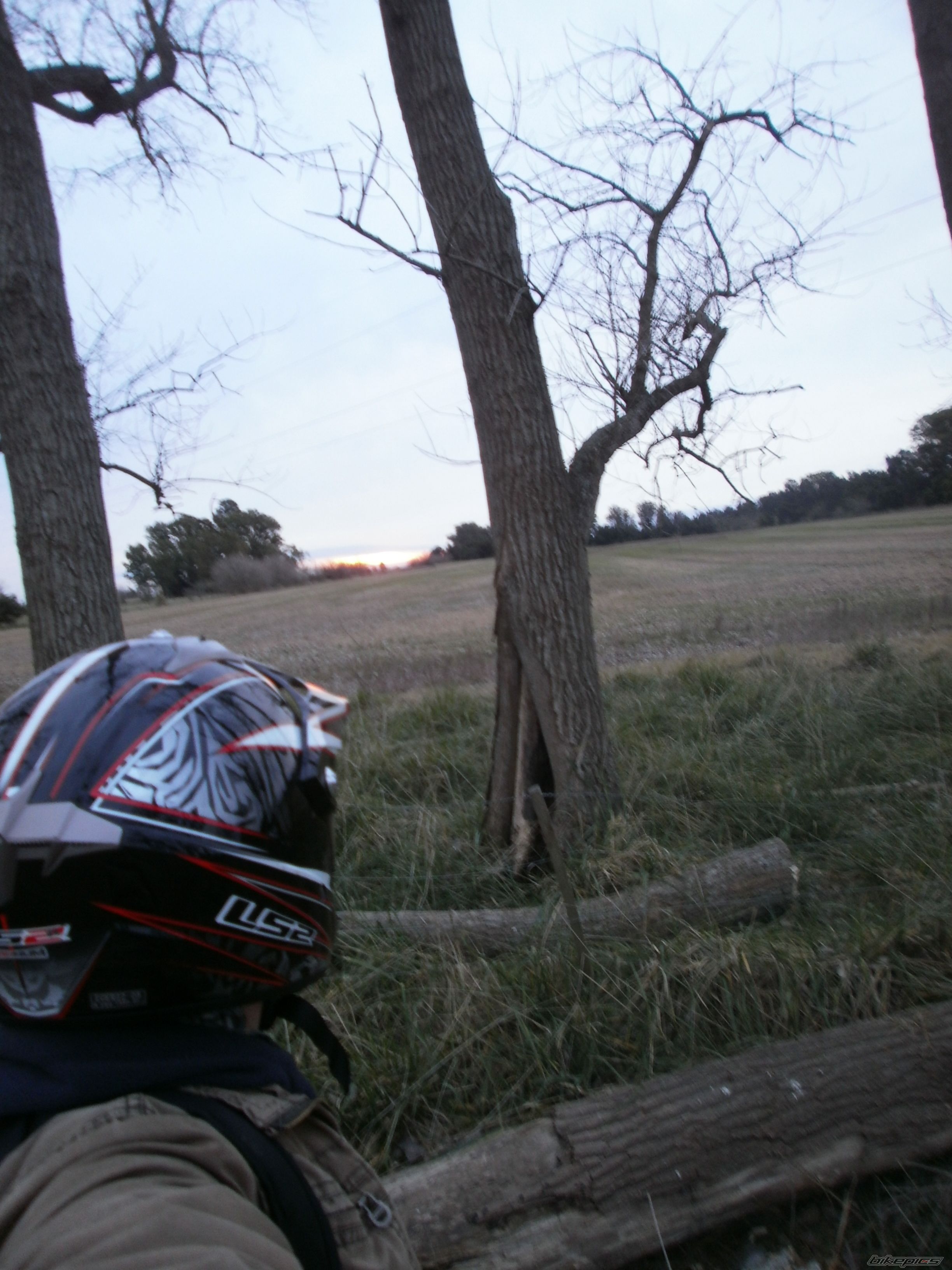 Photo 2787662