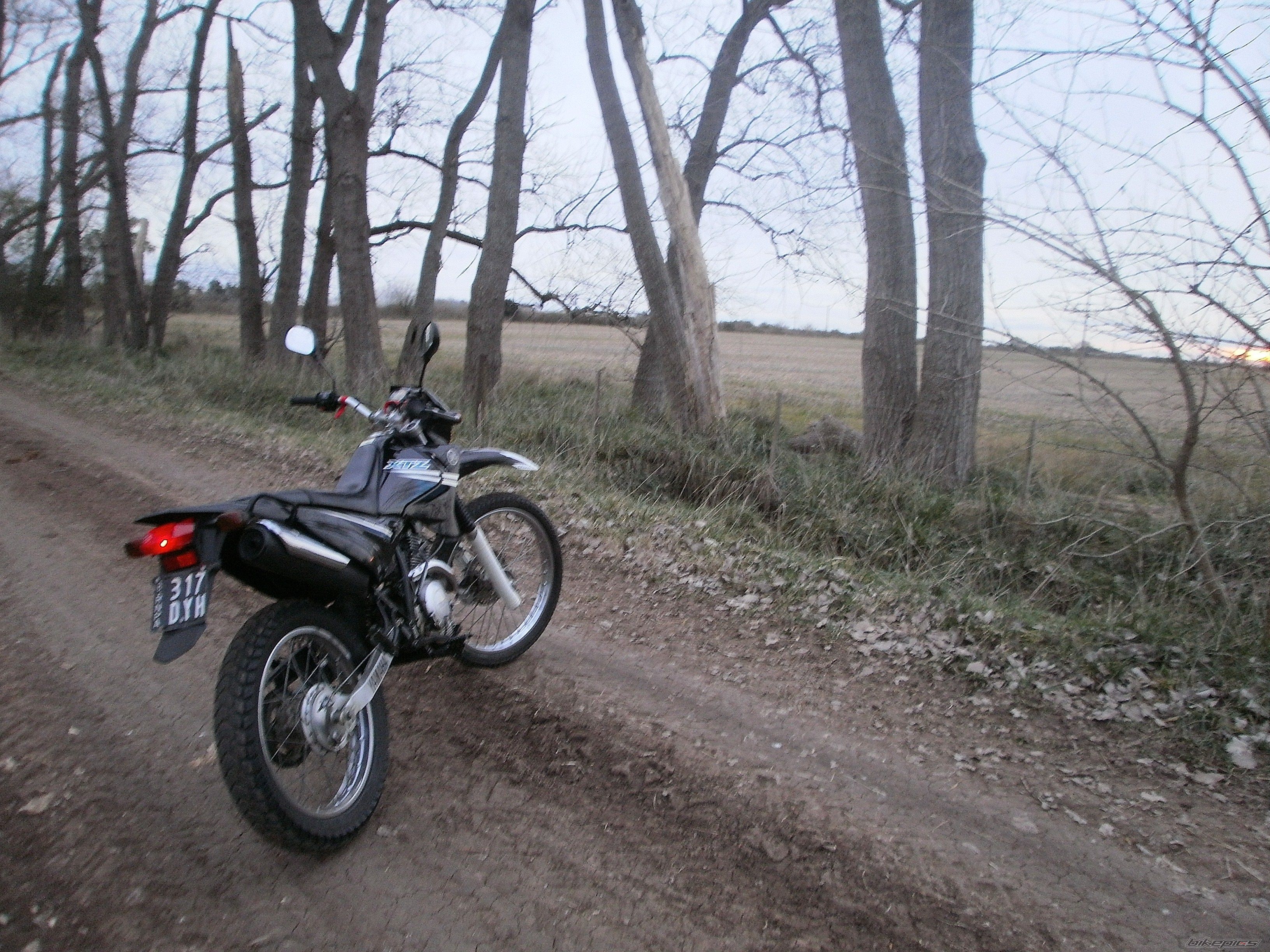 Photo 2787663