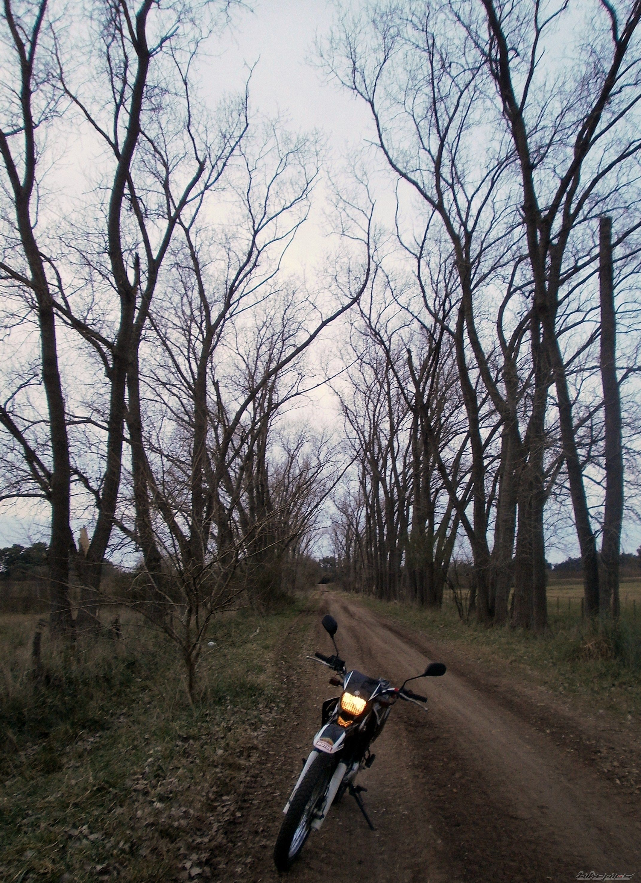 Photo 2787666