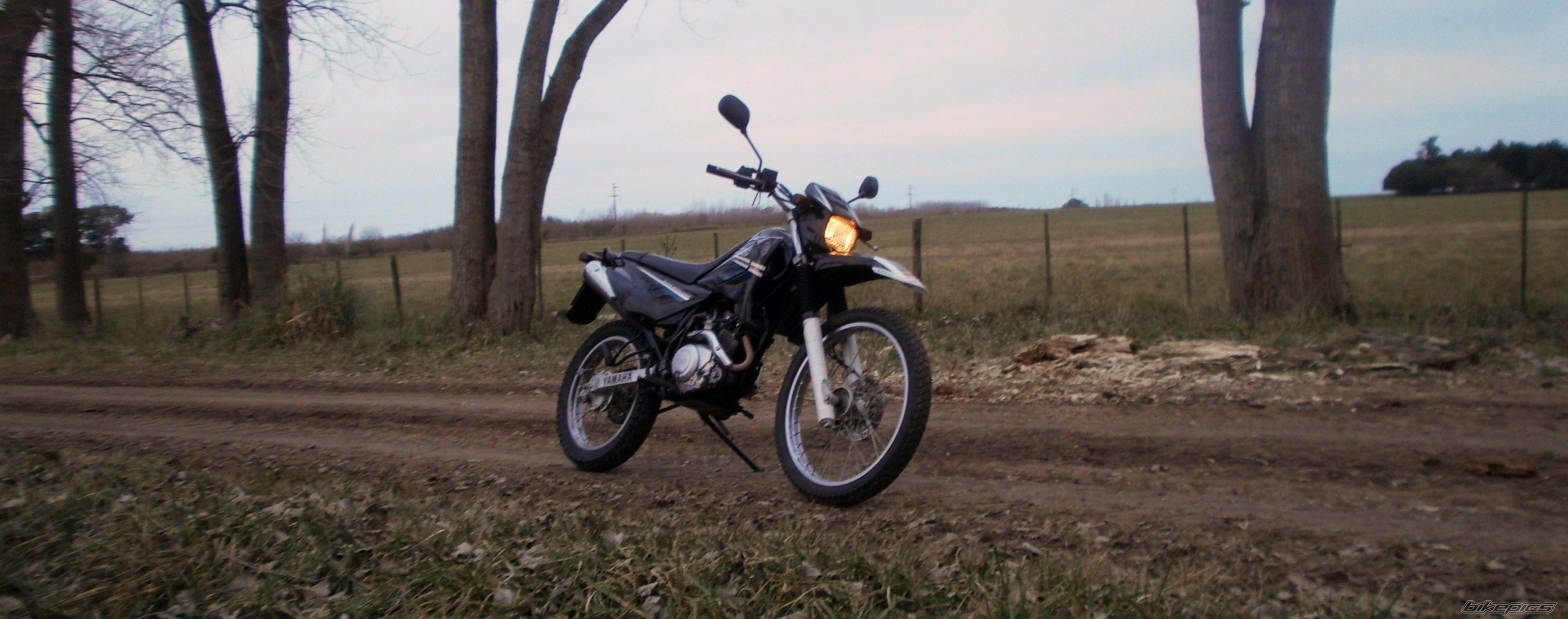 Photo 2787667