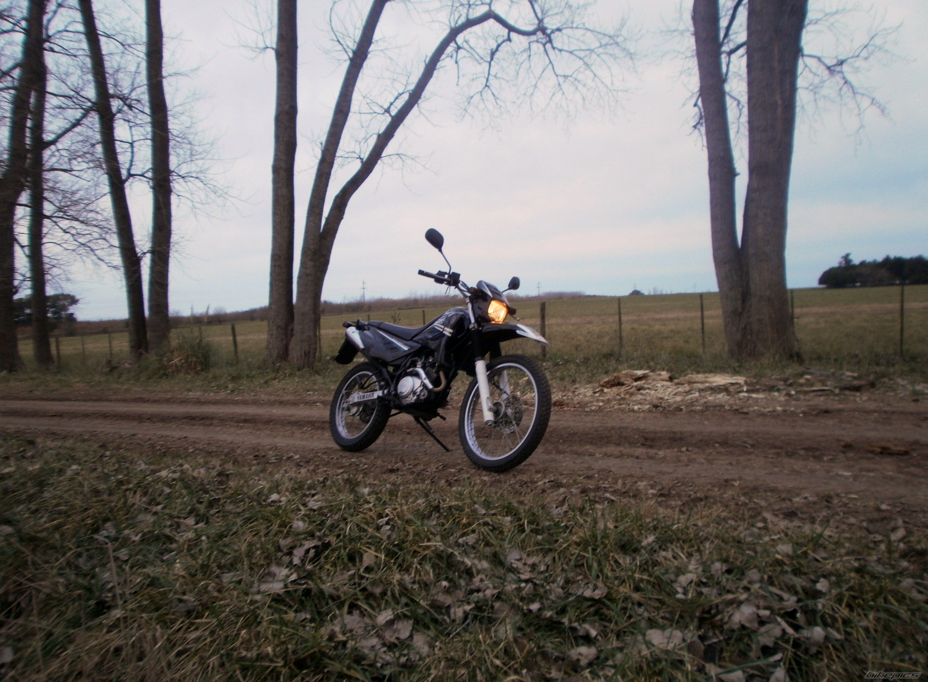 Photo 2787669