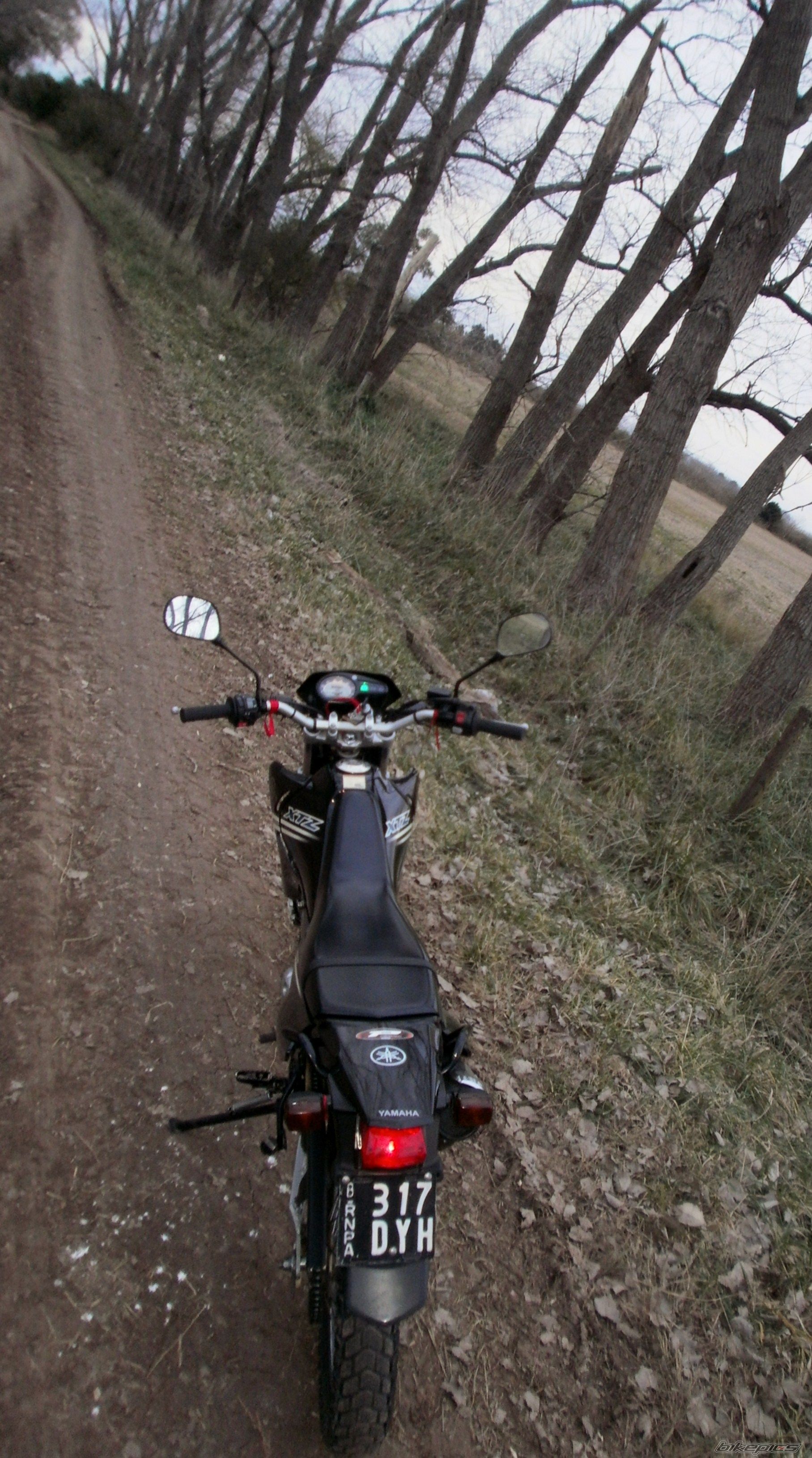 Photo 2787671