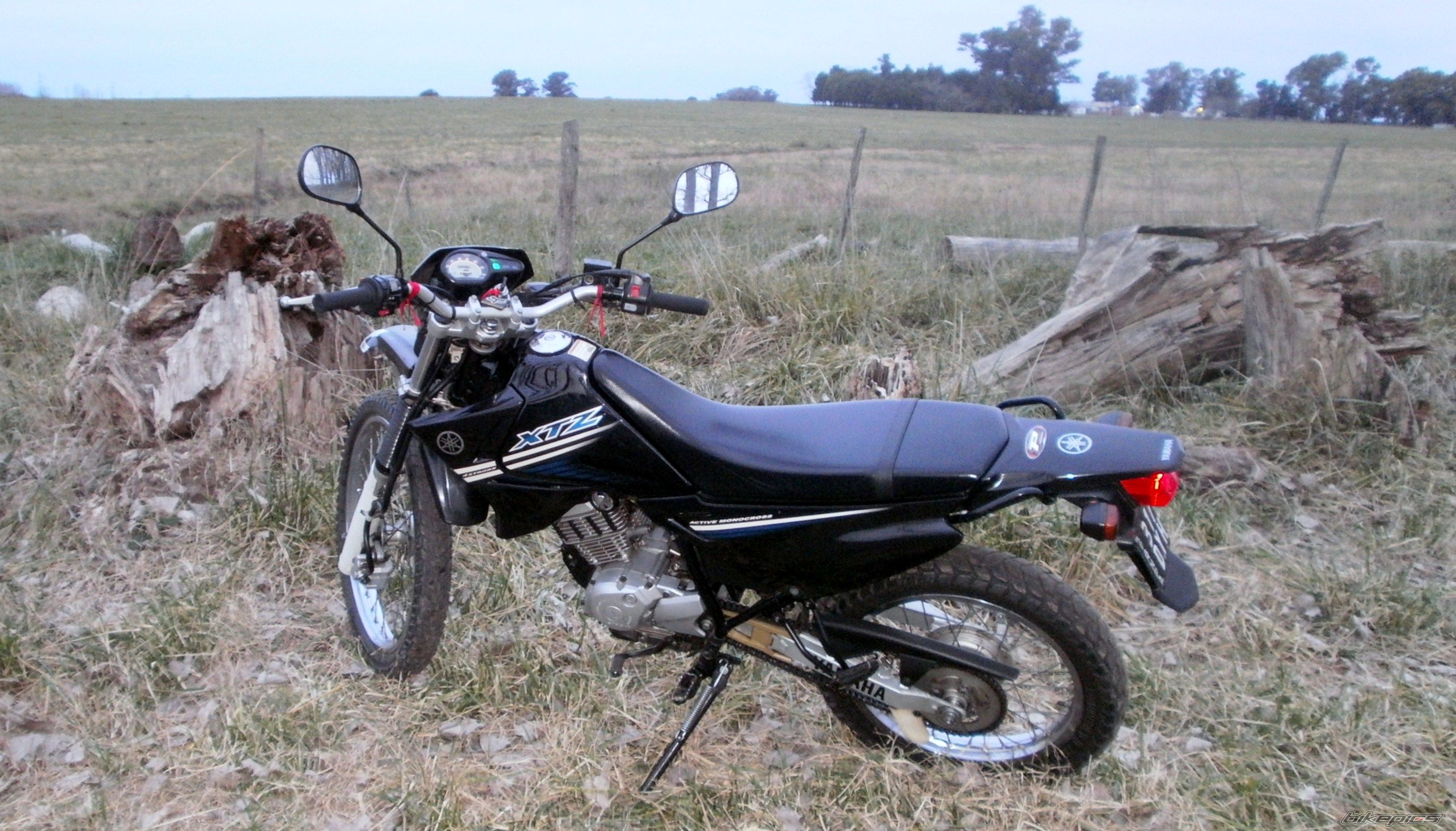 Photo 2787673