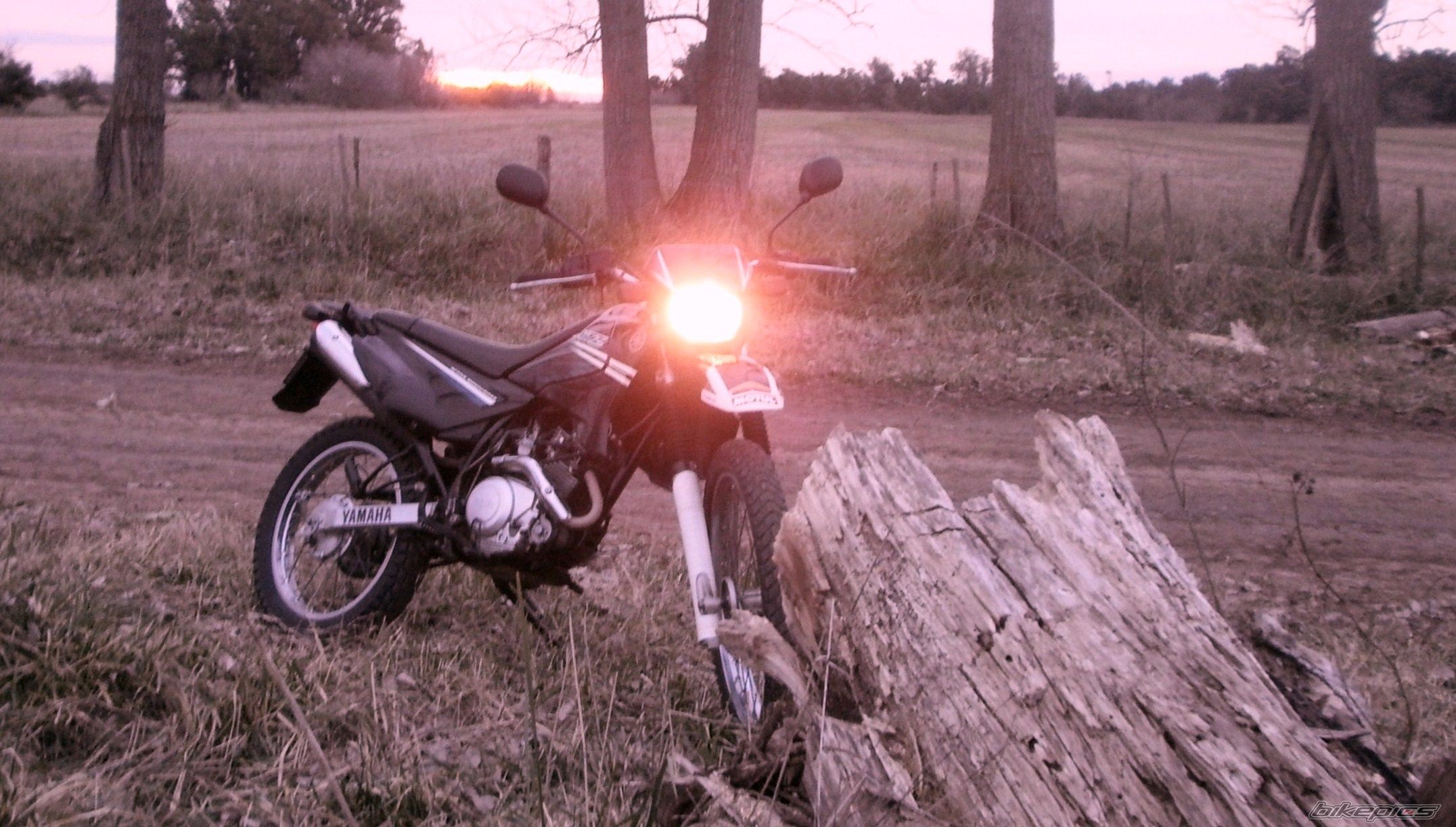Photo 2787674