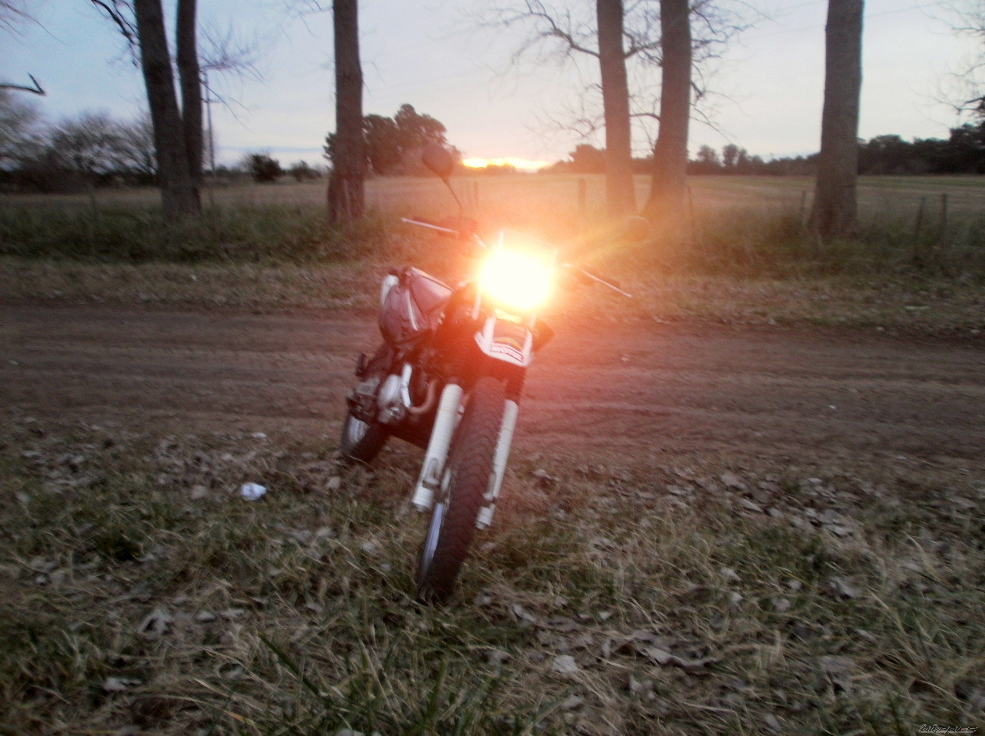 Photo 2787675