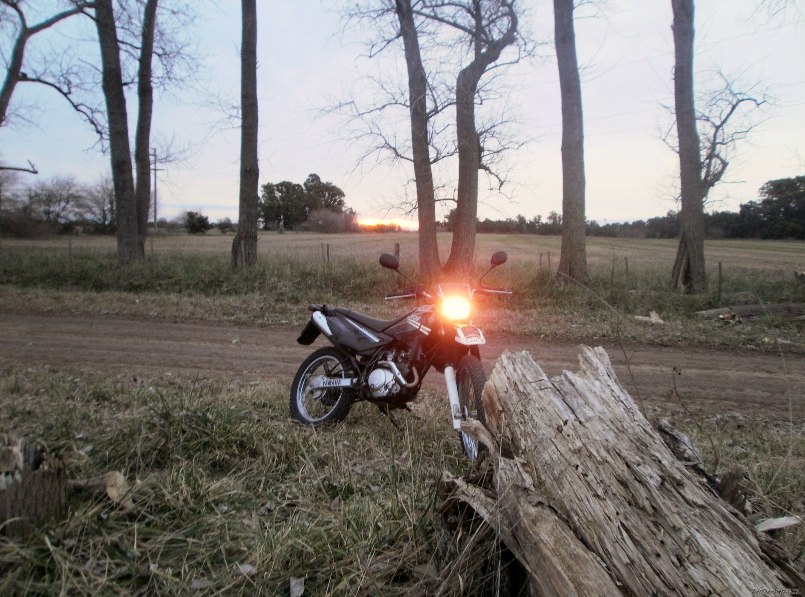 Photo 2787676