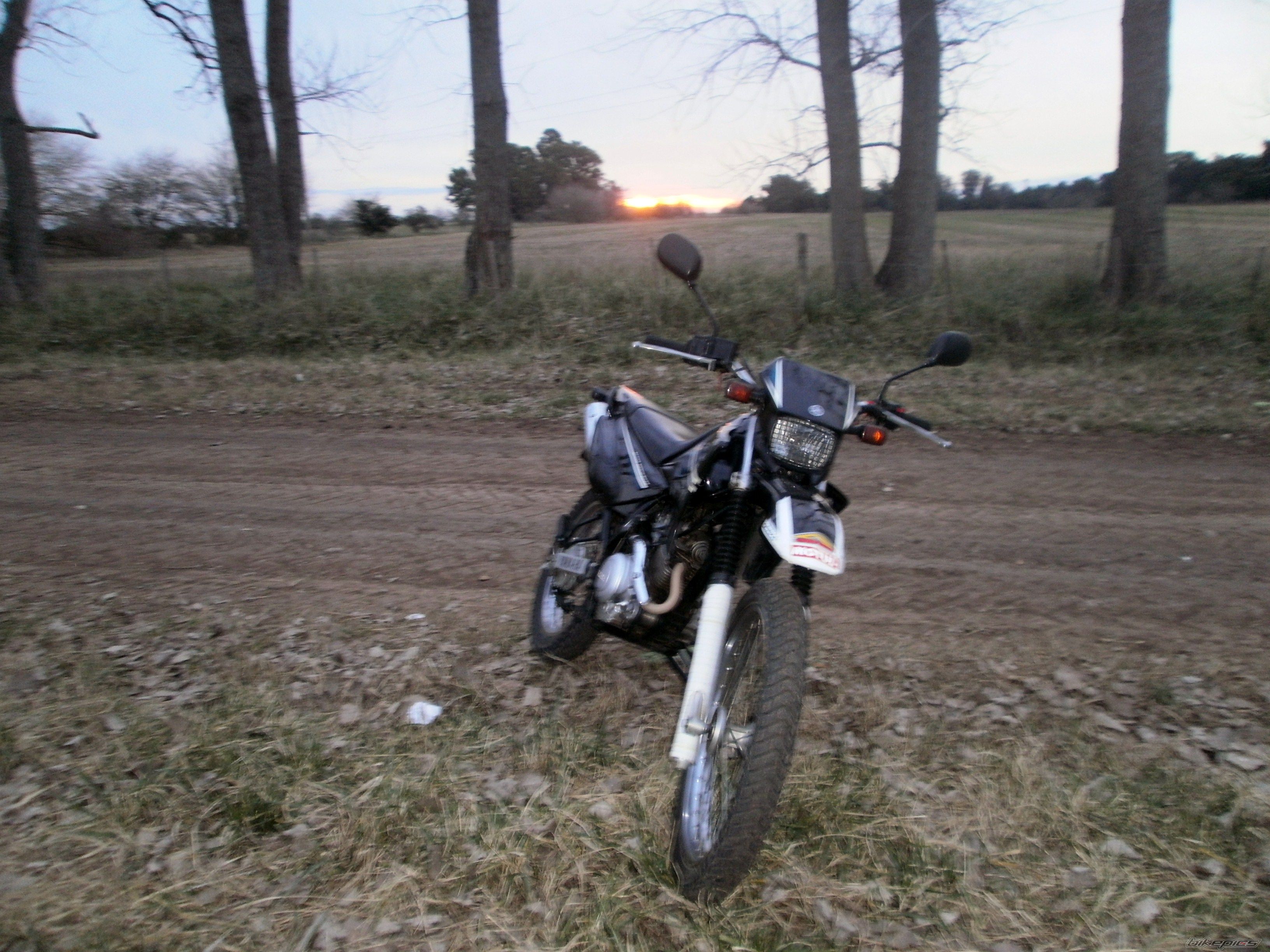 Photo 2787677
