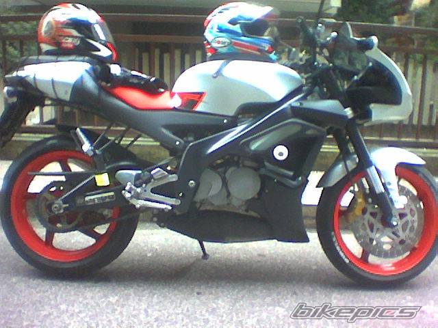 Photo 278768