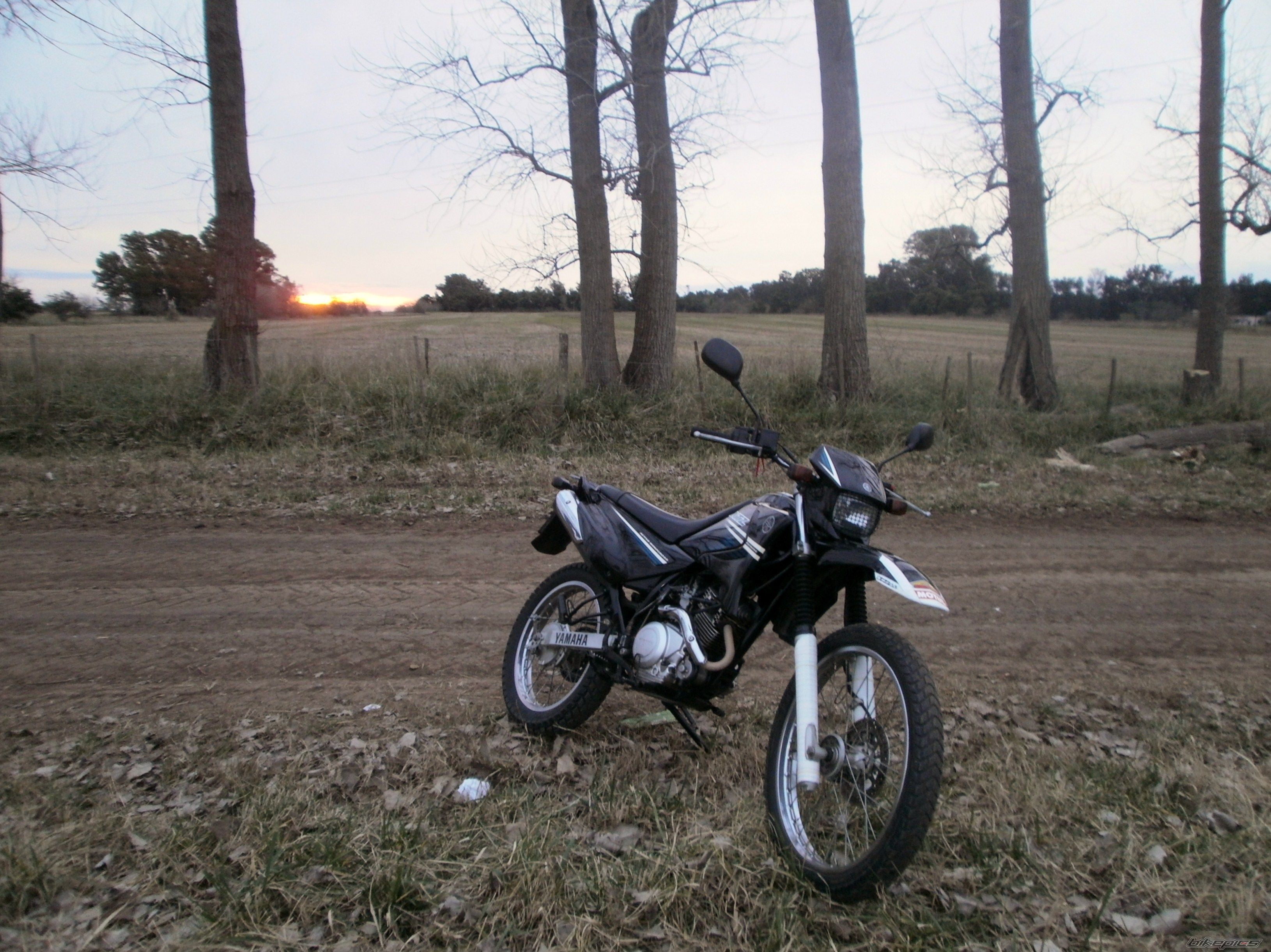 Photo 2787680