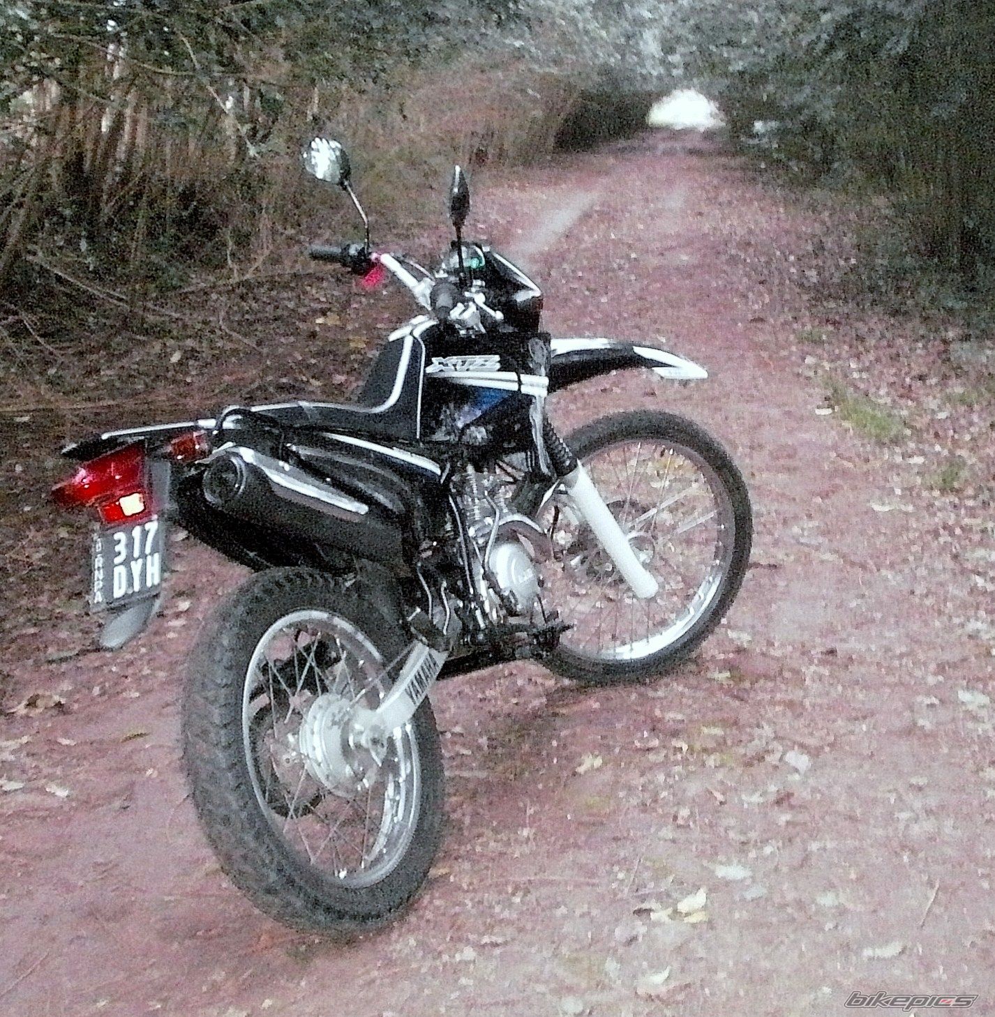 Photo 2787683