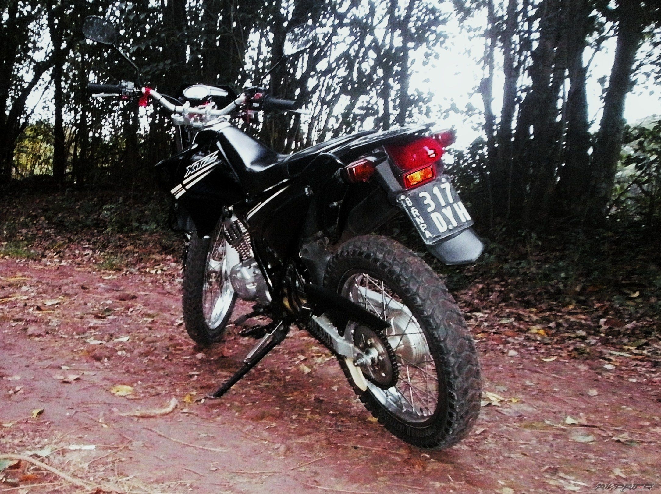 Photo 2787685