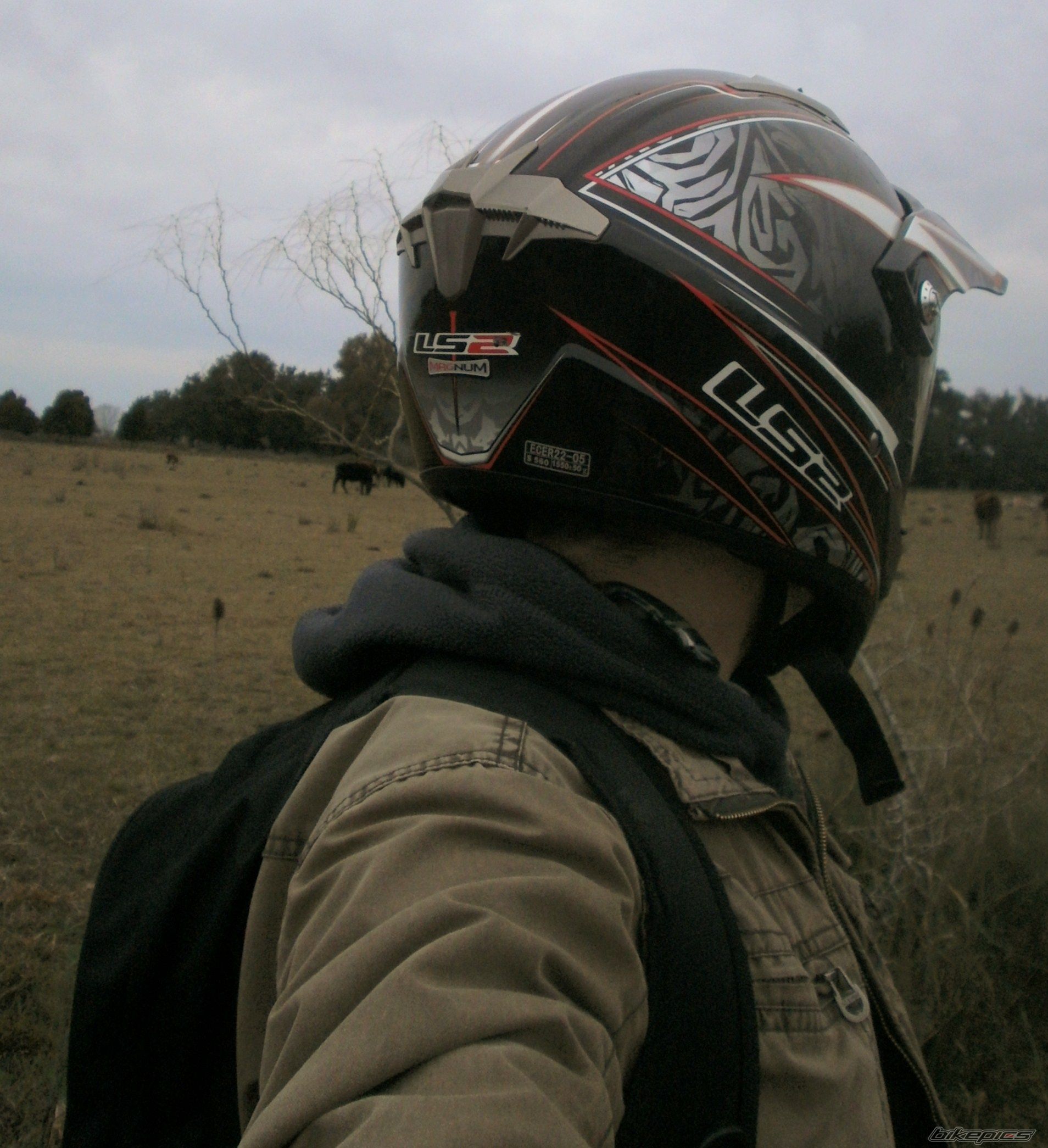 Photo 2787688