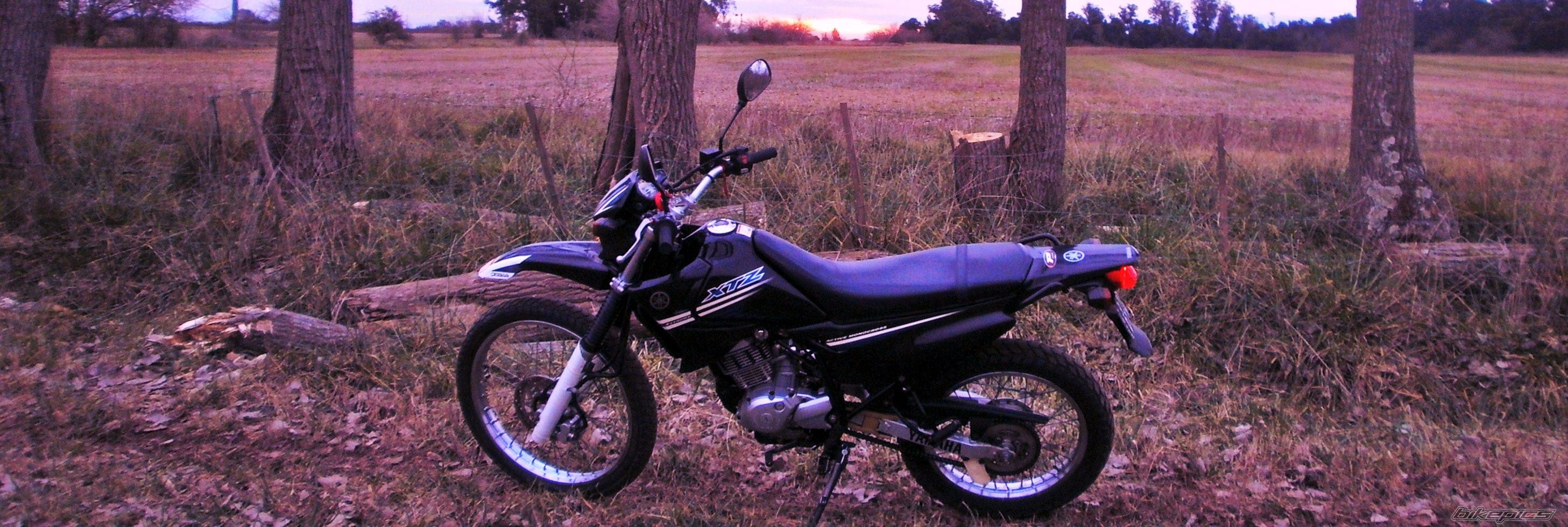 Photo 2787689