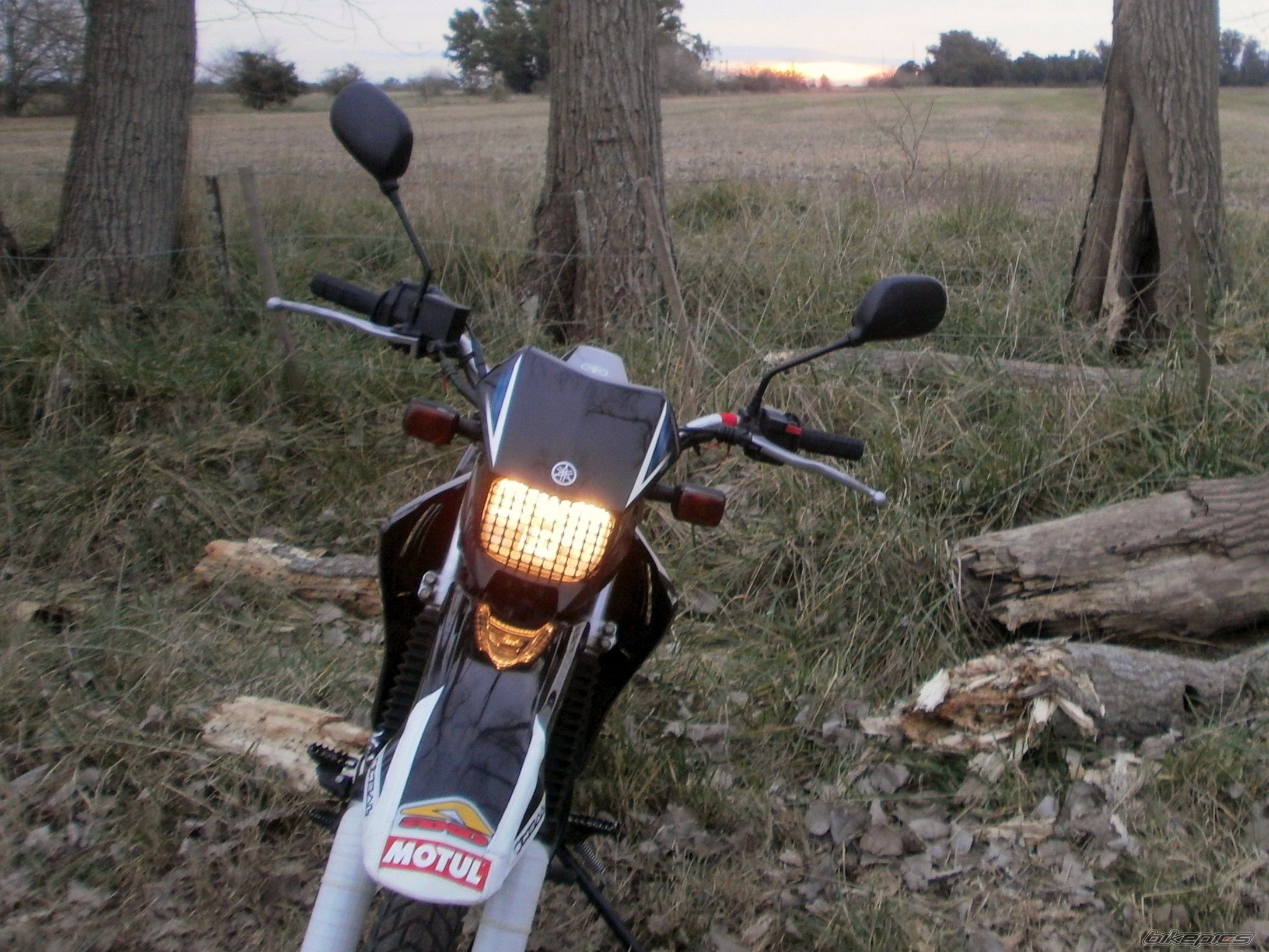 Photo 2787865