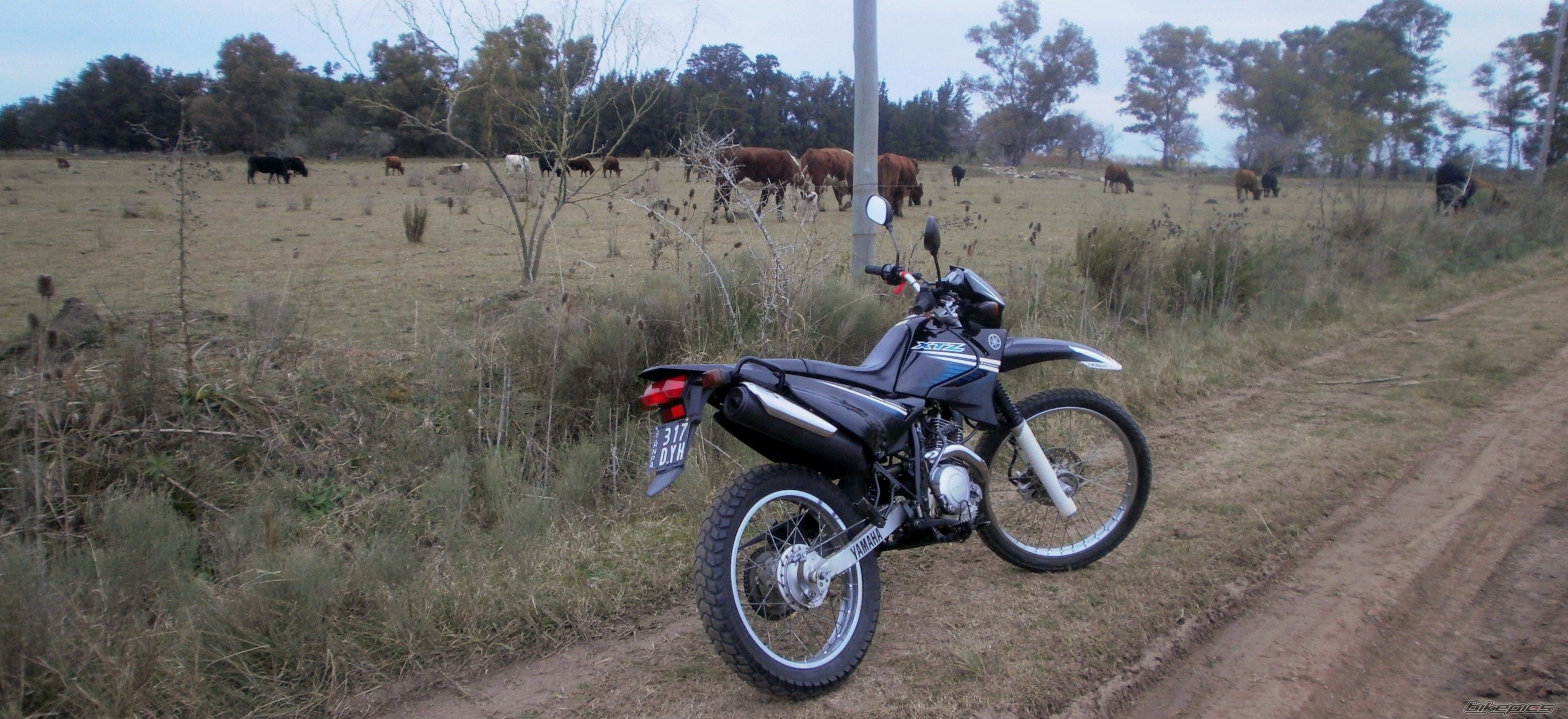 Photo 2787866