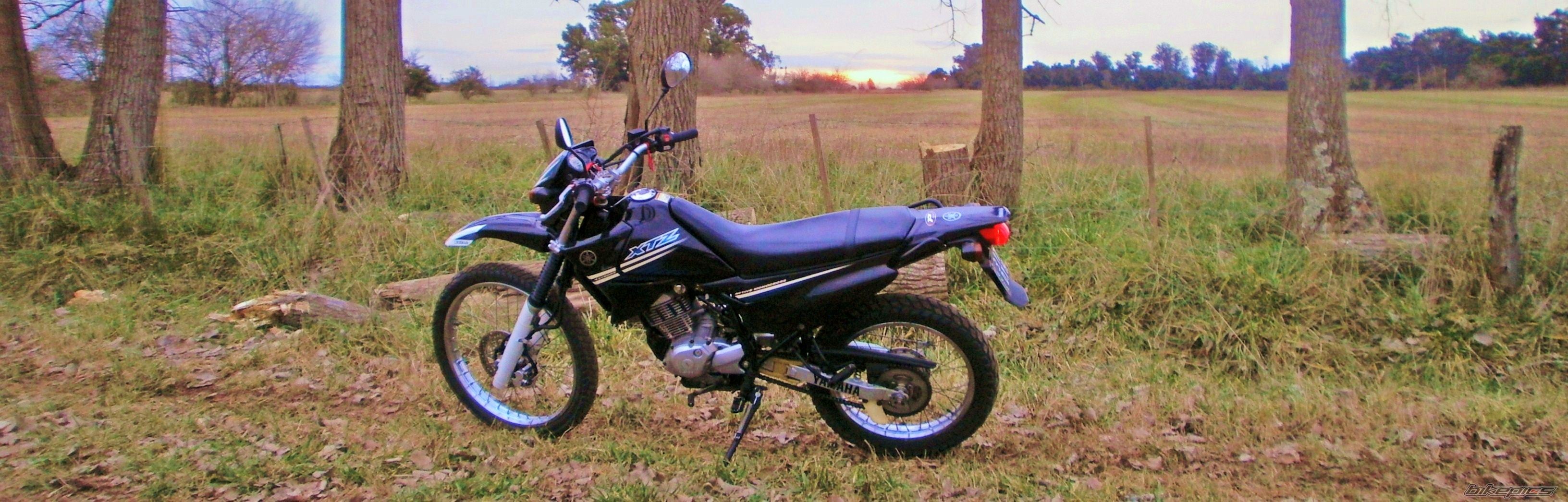 Photo 2787868