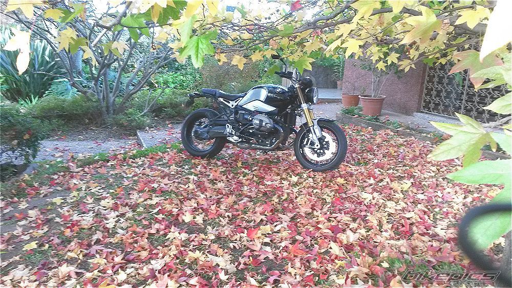 Photo 2787952