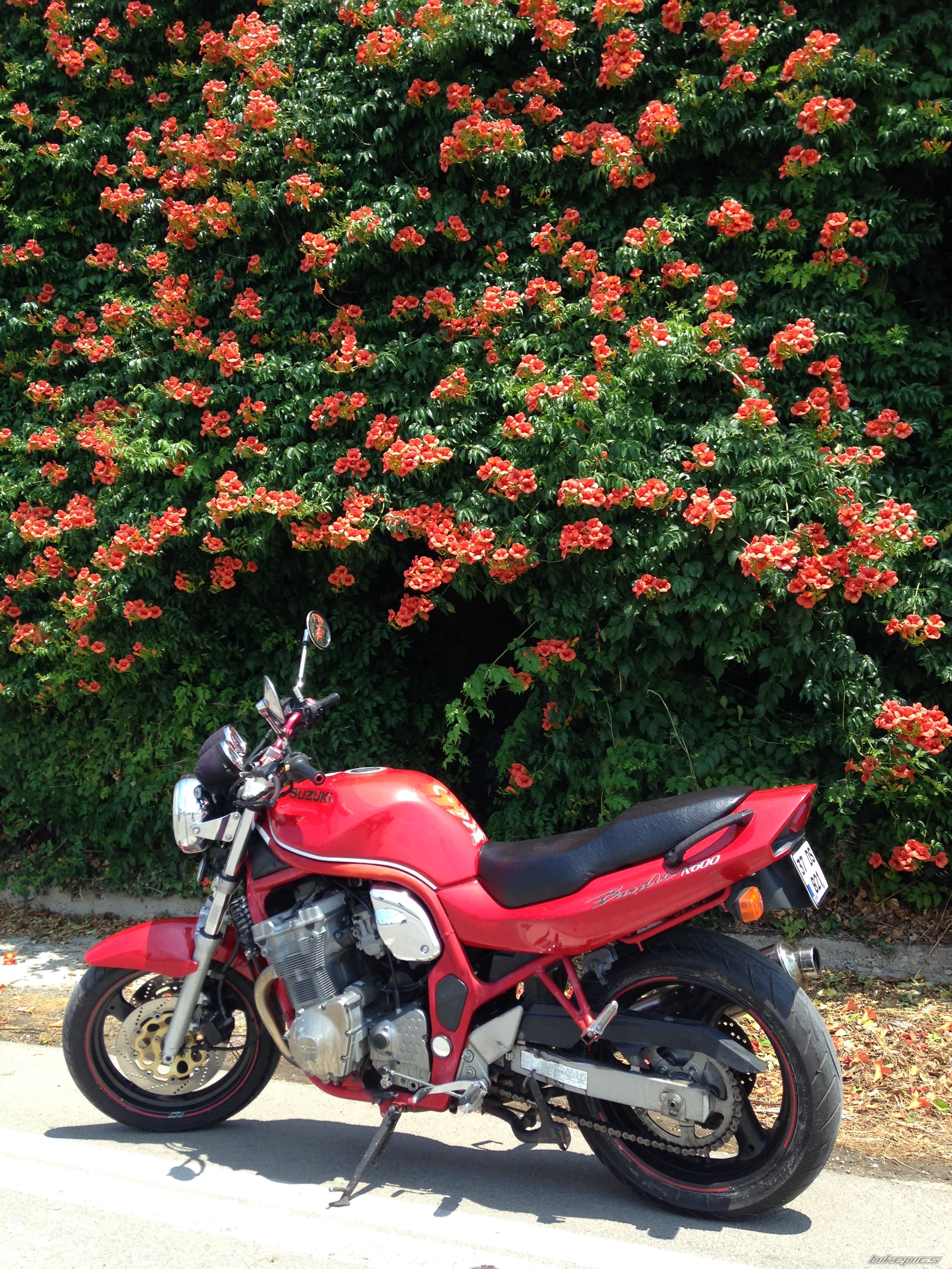 Photo 2788014