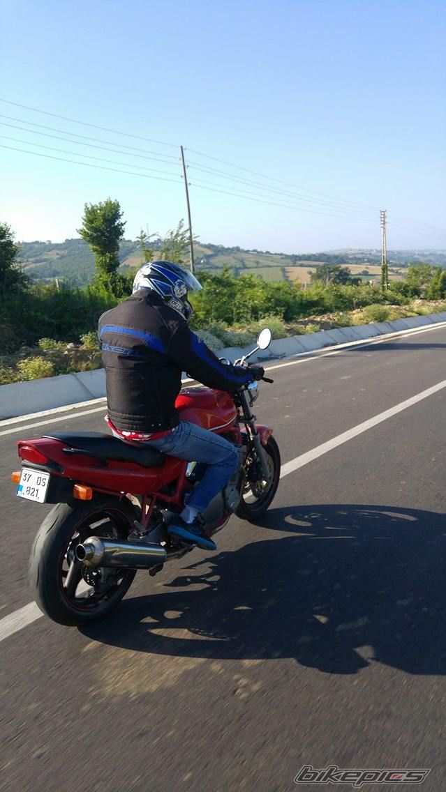 Photo 2788029