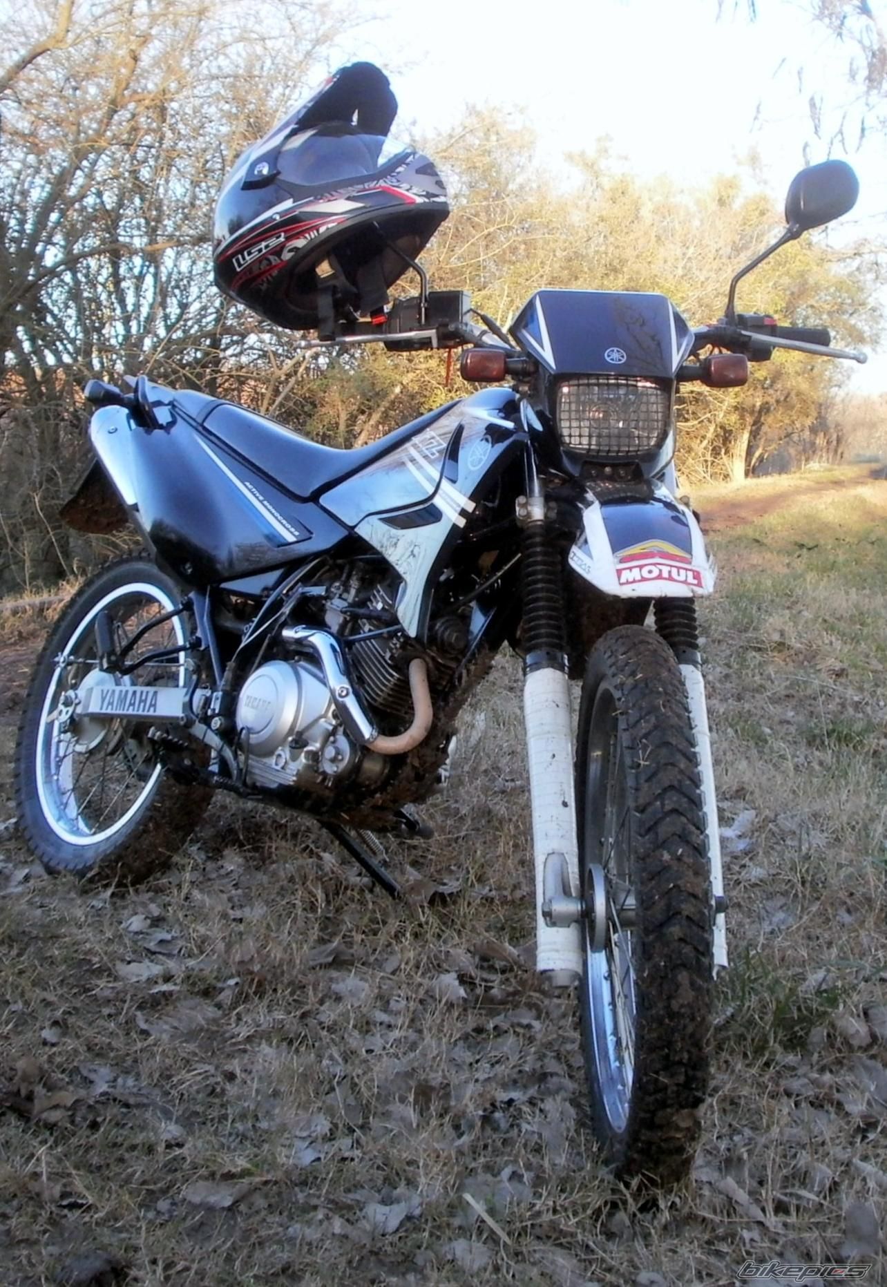 Photo 2788045