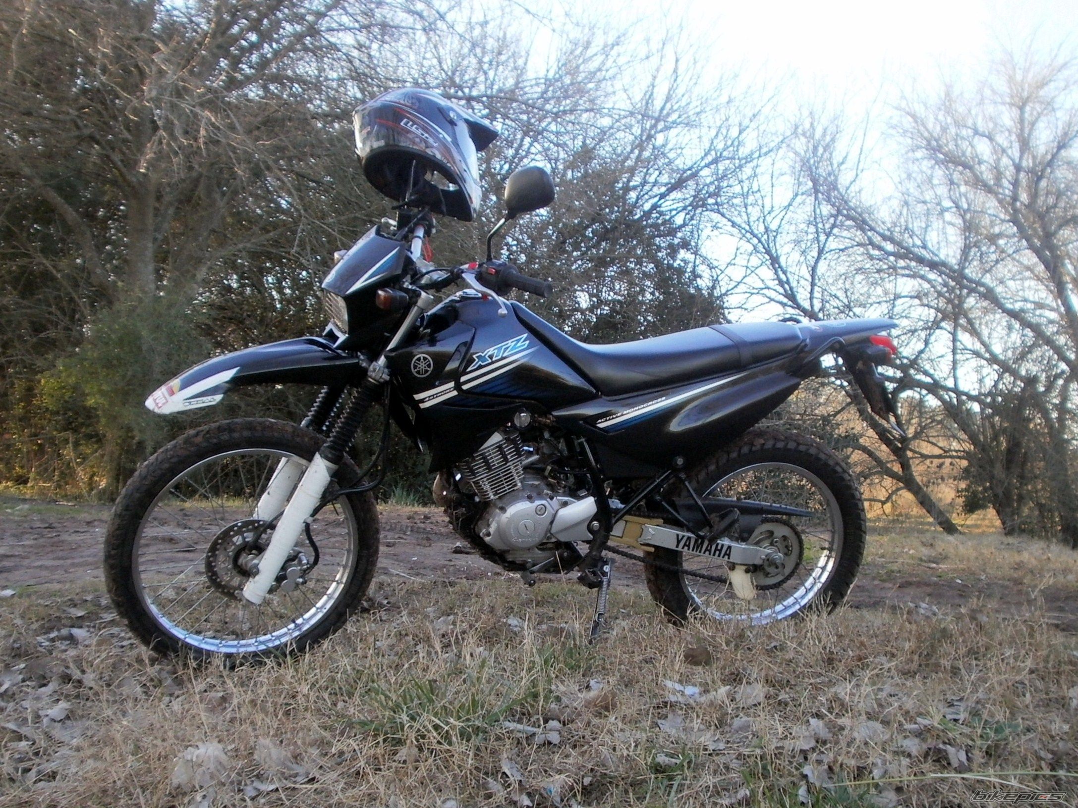 Photo 2788047