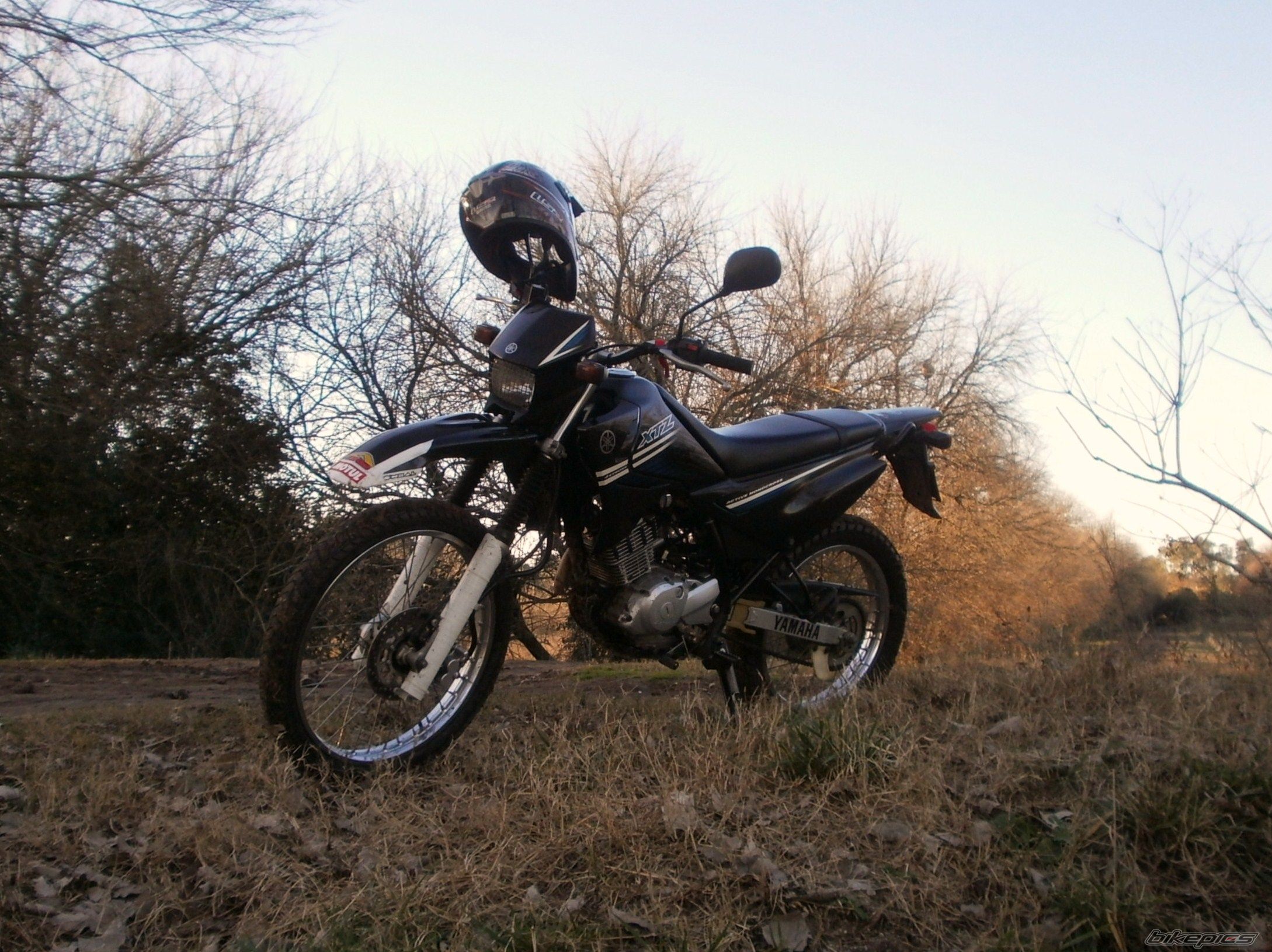 Photo 2788048