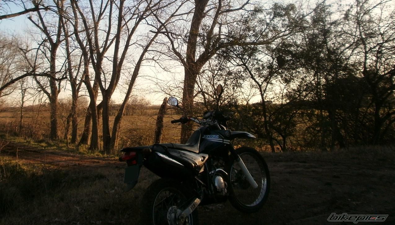 Photo 2788052