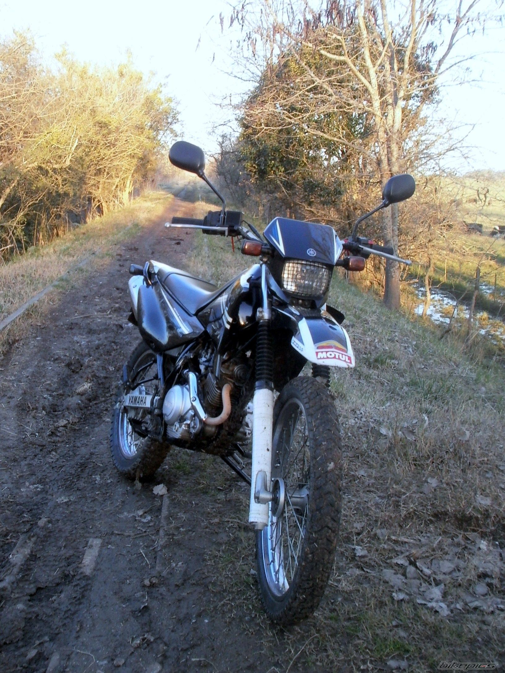 Photo 2788054
