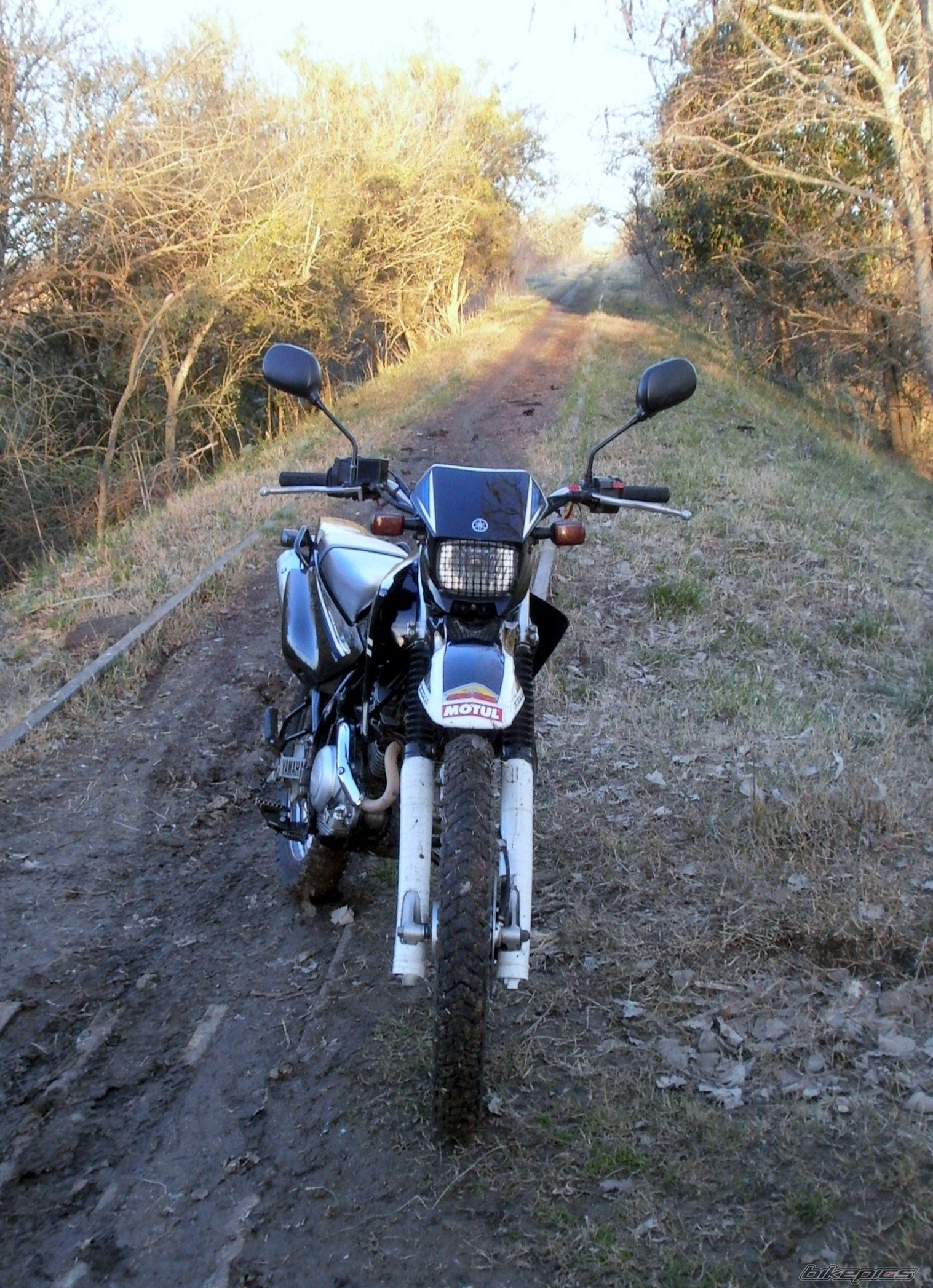 Photo 2788055