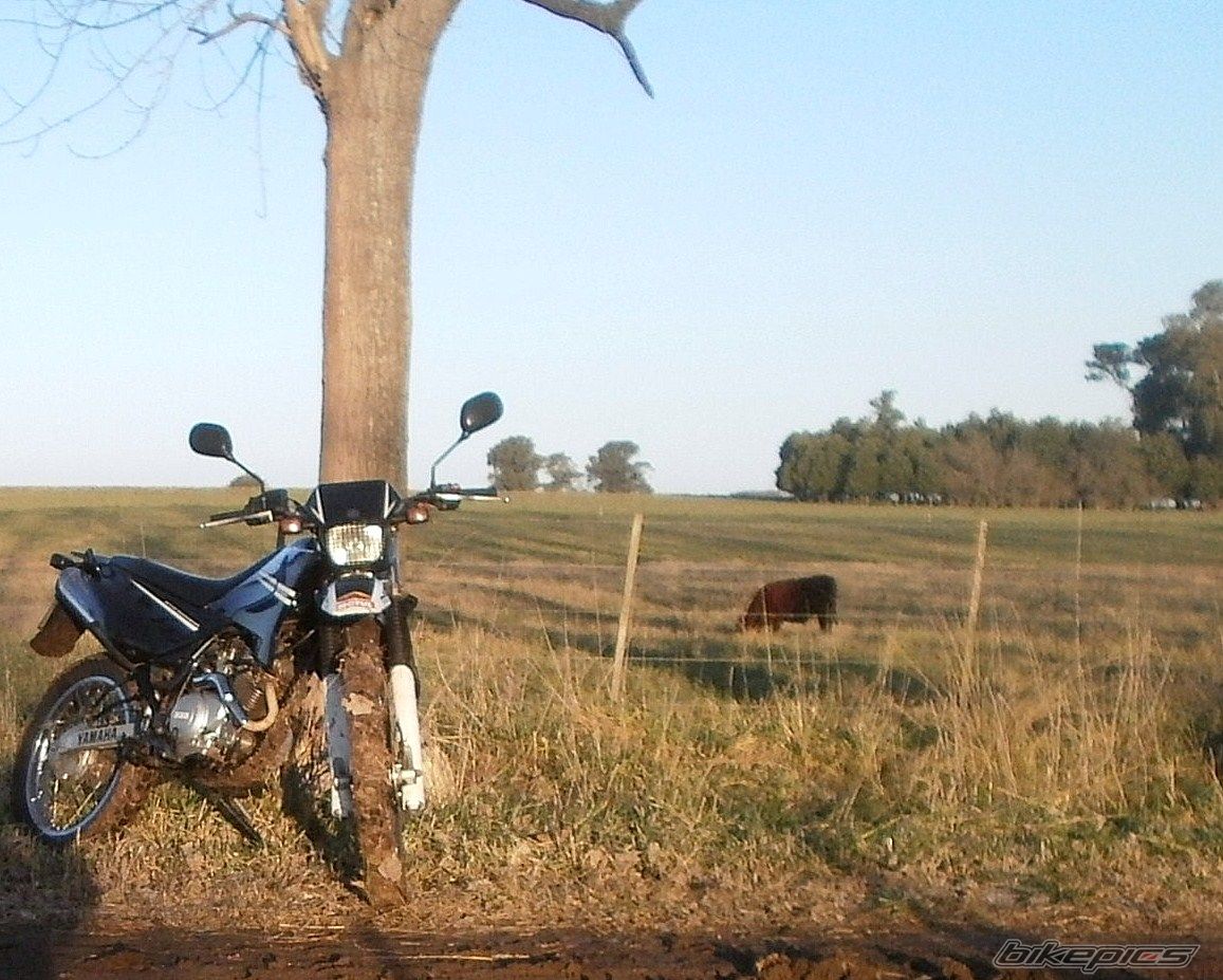 Photo 2788057