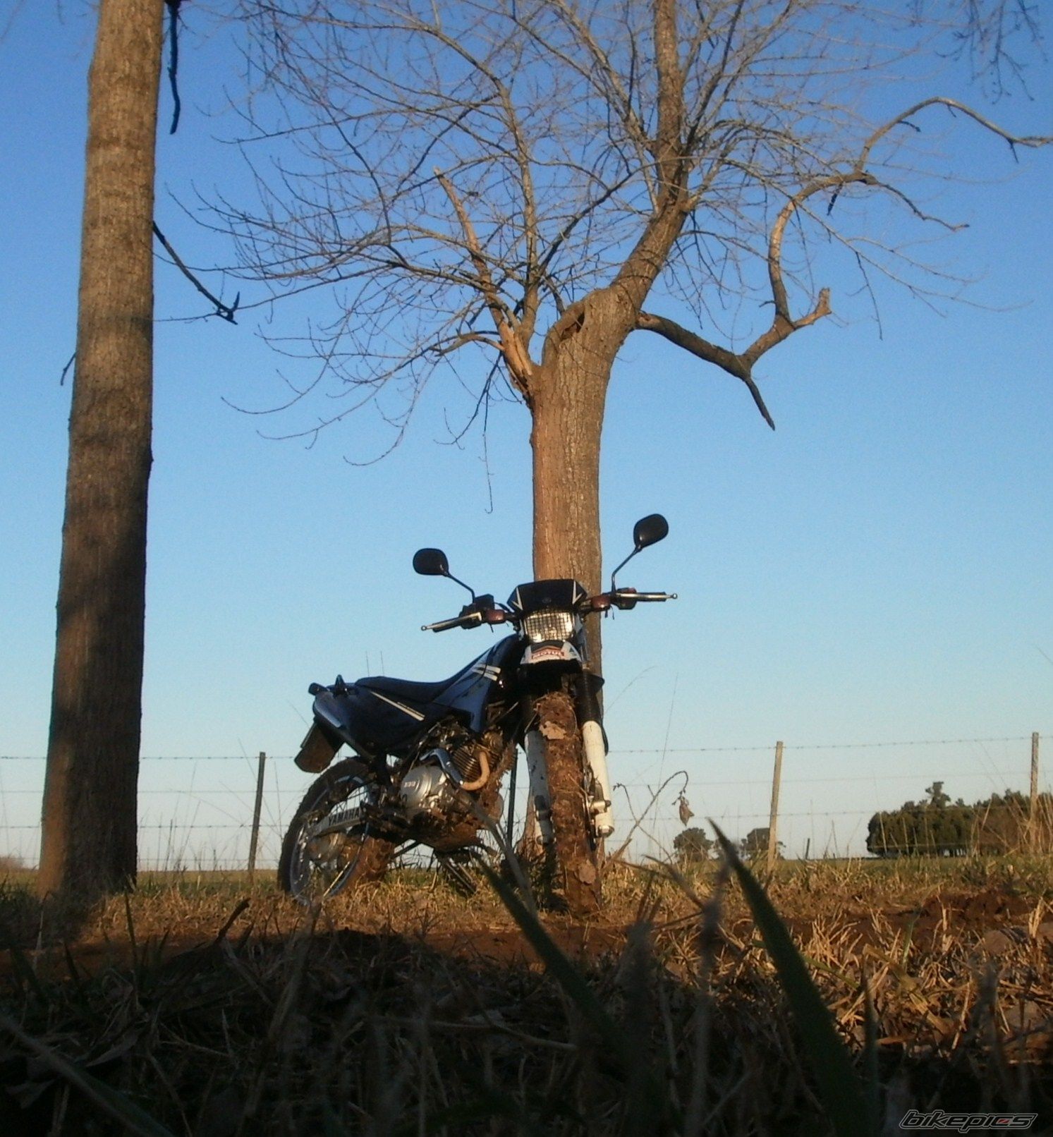Photo 2788058