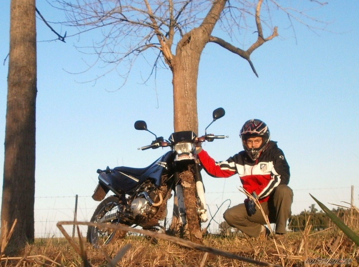 Photo 2788059