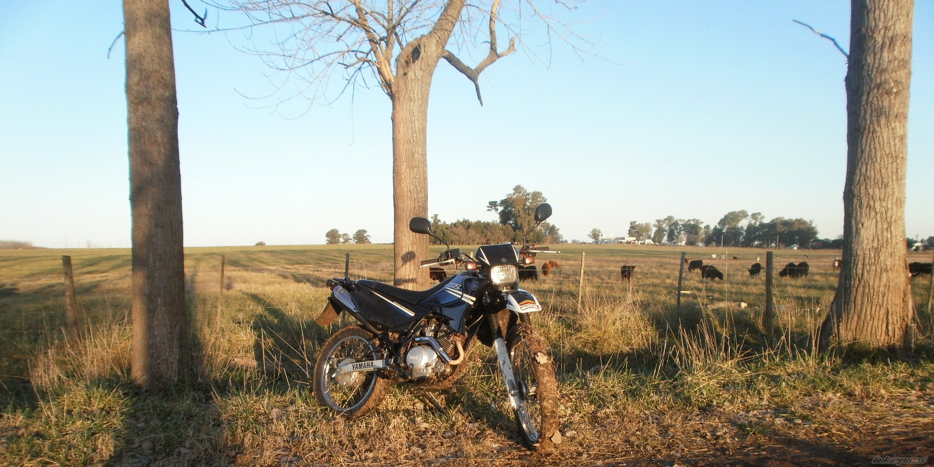 Photo 2788060