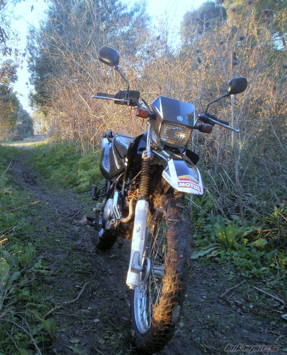 Photo 2788062