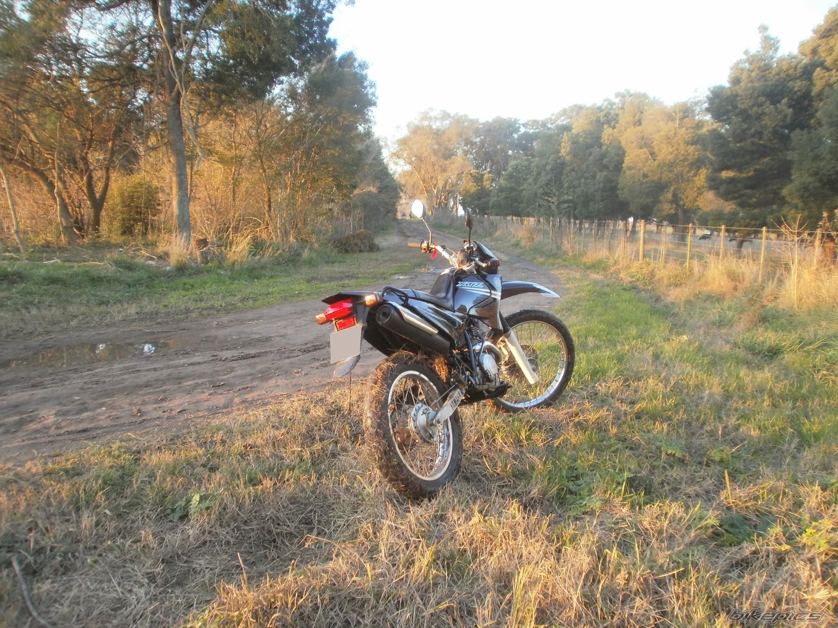 Photo 2788063