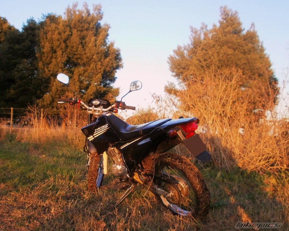 Photo 2788067